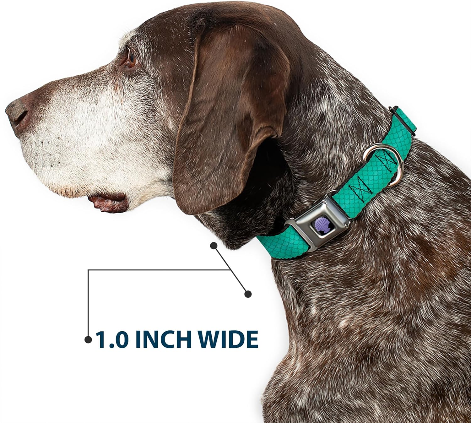 Buckle-Down Dog Collar Seatbelt Buckle Ariels Scales Turquoise Blues, Multicolor, 1" Wide - Fits 11-17" Neck - Medium (DC-WDY312-M)