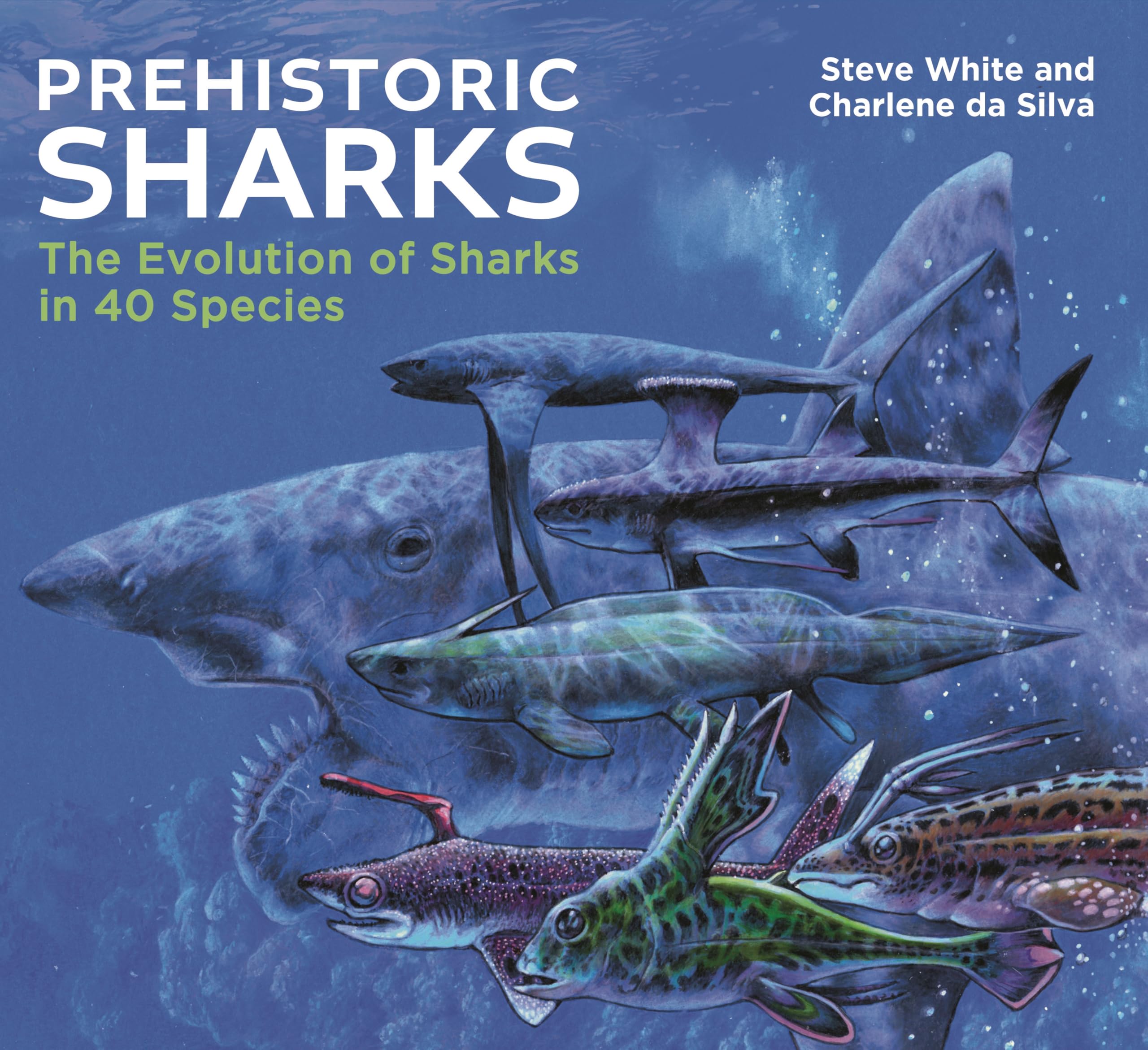 Prehistoric Sharks: The Evolution of Sharks in 40 Species