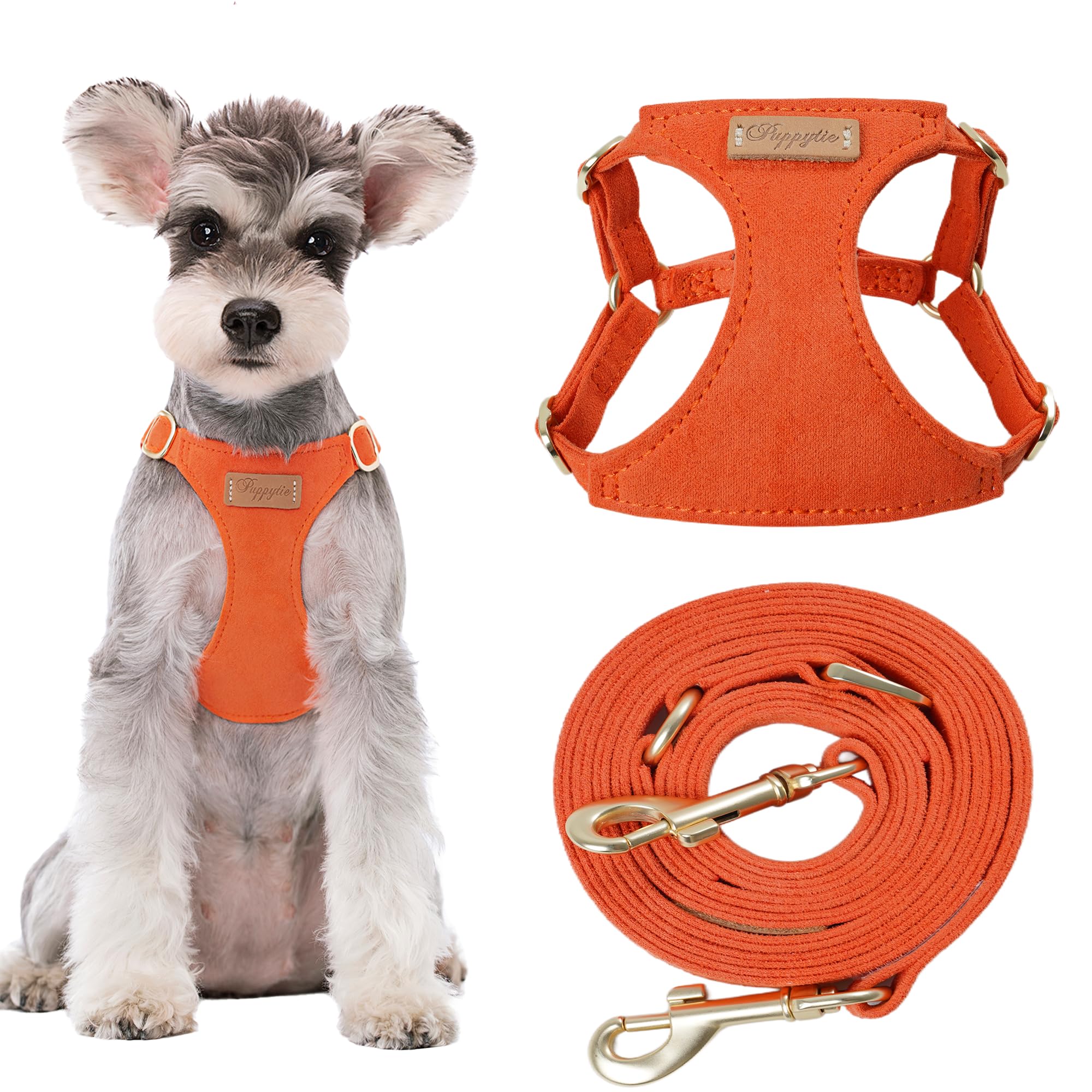 Puppytie No Pull Small Dog Harness with Multifunction Dog Leash,Lightweight Soft Adjustable No Choke Escape Proof Pet Harness Vest Pet Harness Vest,