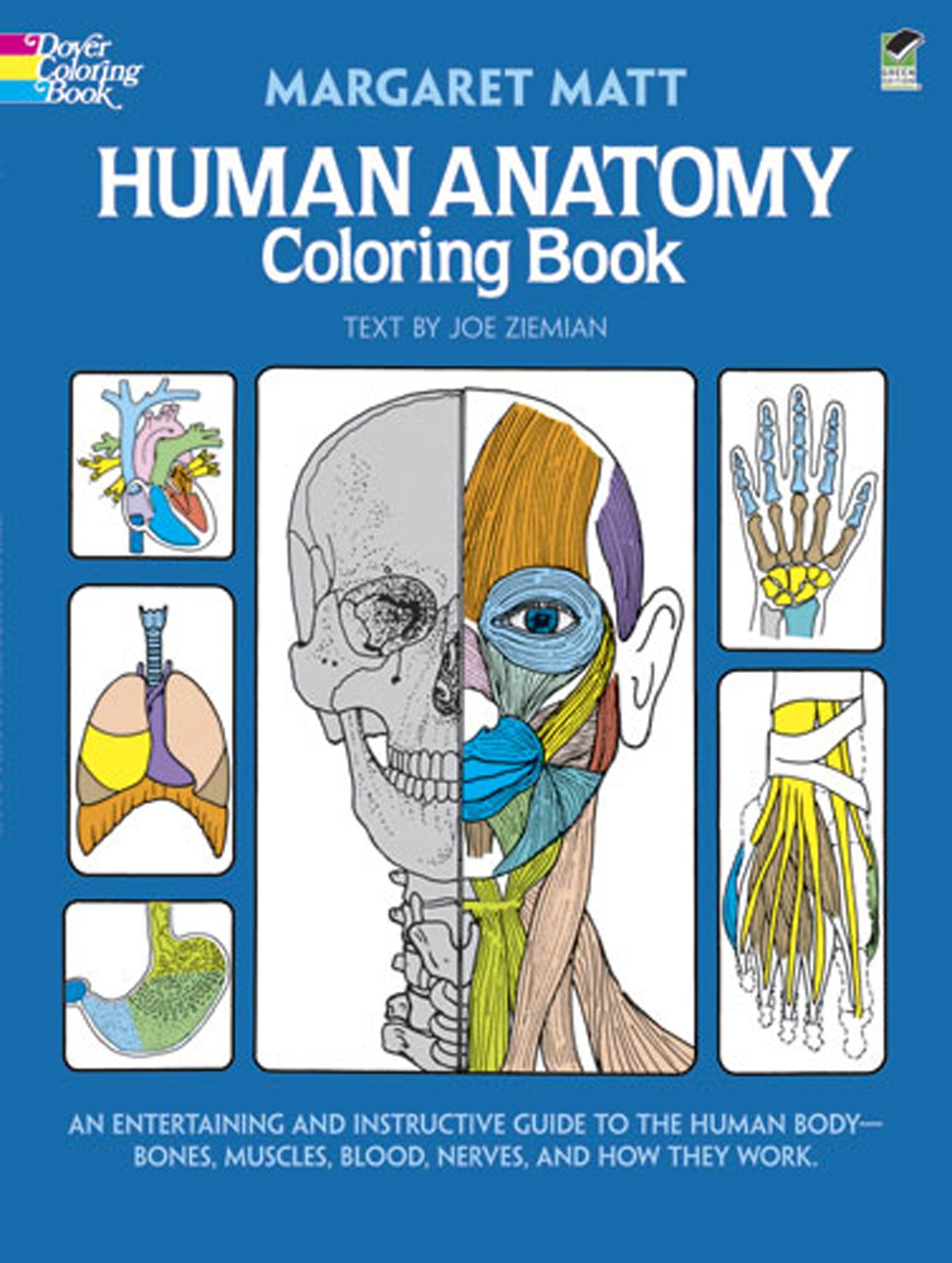 Download Human Anatomy Dover Children S Science Books Buy Online In Andorra At Andorra Desertcart Com Productid 76196925
