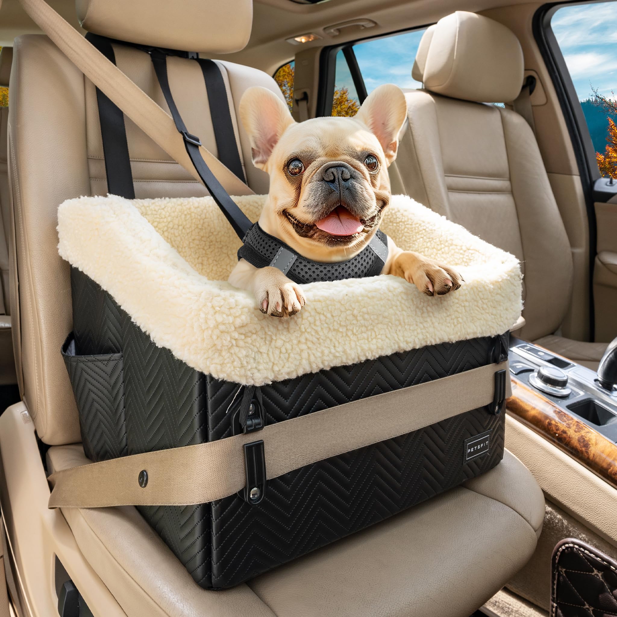 PETSFIT Dog Car Seat, Dog Booster Car Seat with Patent Safe Buckles, Waterproof PU Leather, Detachable Belt, Medium Sized up to 13 kg (Black)