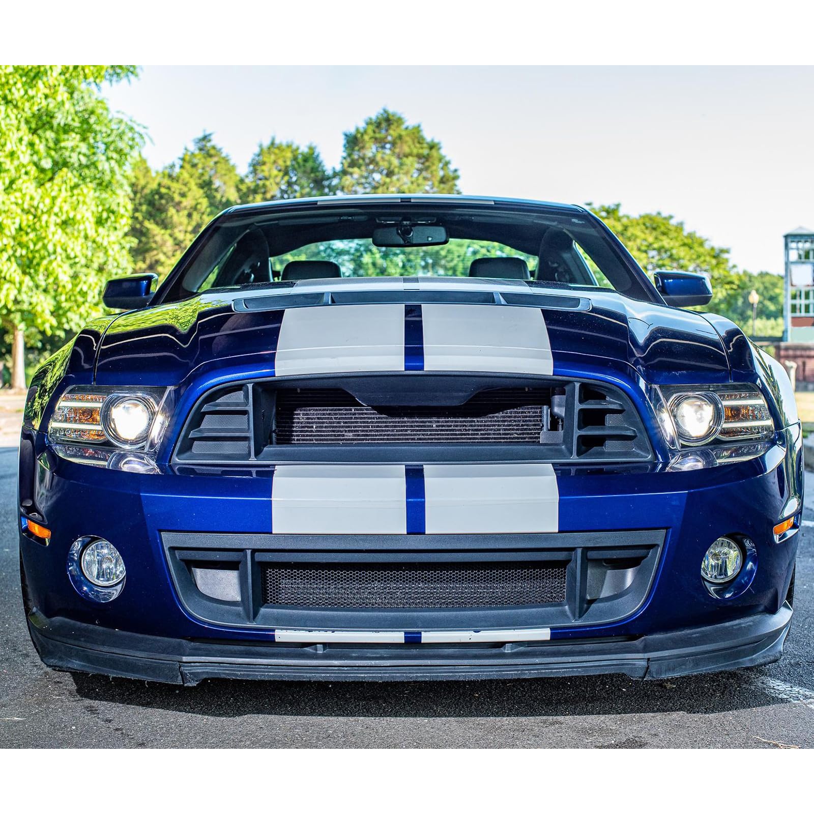 Amazon | FREEMOTOR802 2010-2014 フォード マスタング GT500 グリル
