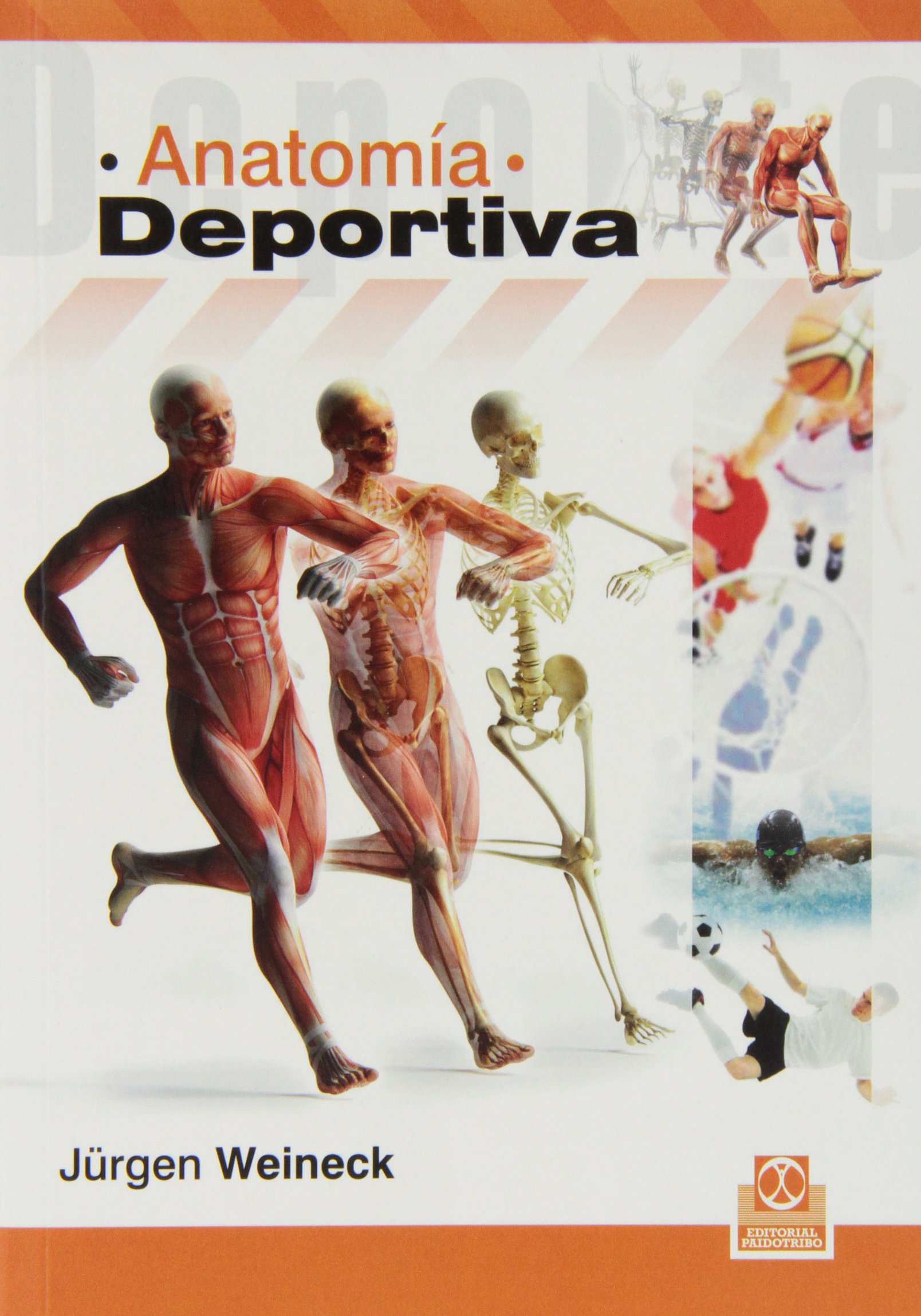Anatomía deportiva (Medicina)
