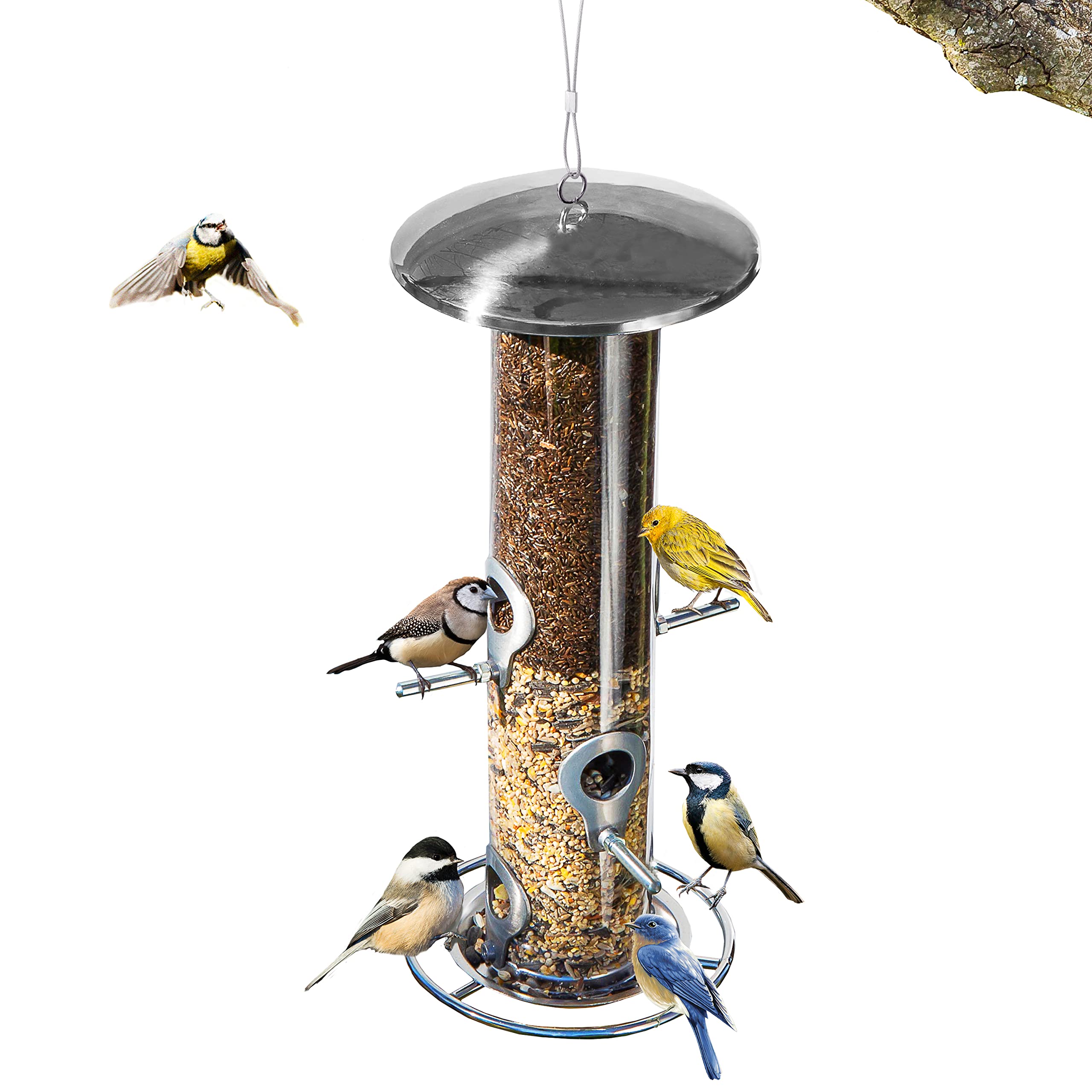 Large Stainless Steel bird feeder, Easy Clean Bird Seed Feeder, bird feeders for small birds, Easy Open wild Bird Feeders. Hanging Bird Feeder for seeds, bird feeders for Wild bird