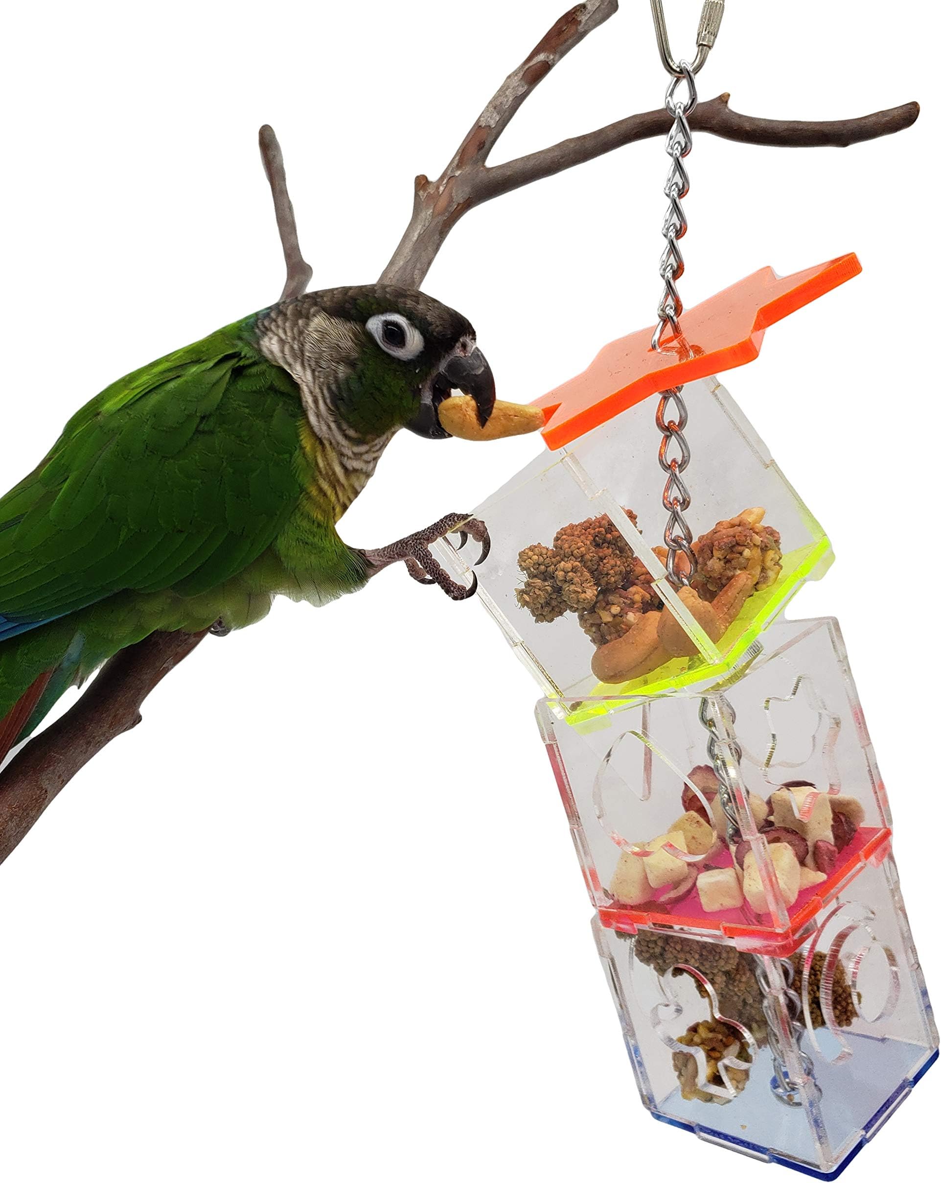 Parrot Bird Boredom Buster Forage Box Creative Hanging Treat Foraging Toy Conure Cockatiel for Small Bird Enrichment Transparent Acrylic Food Holder