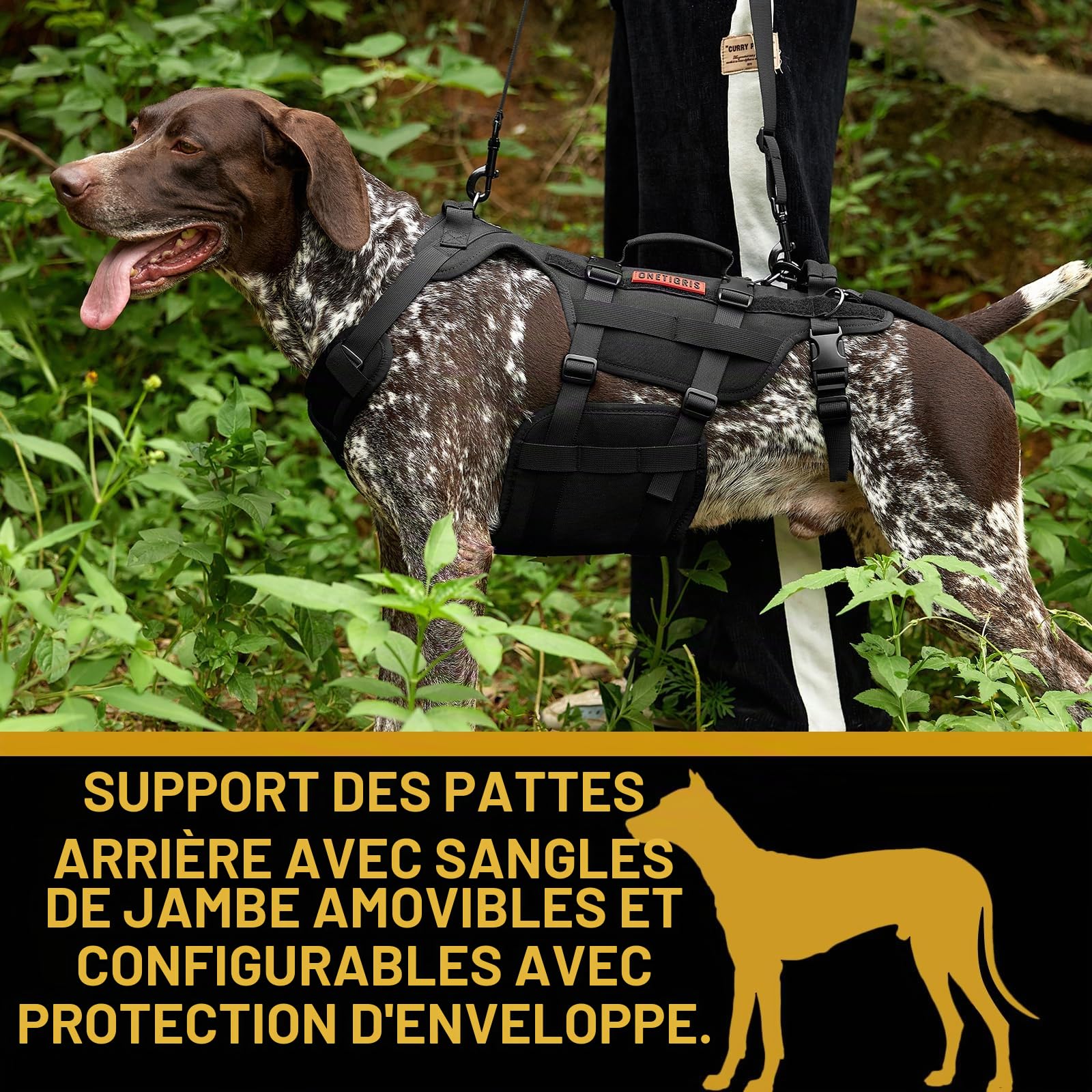 OneTigris Harnais de Levage pour Chien, Invictus Harnais pour Chien handicapé Sangle réglable, 3 poignées et Leggings arrière Amovibles - Noir S