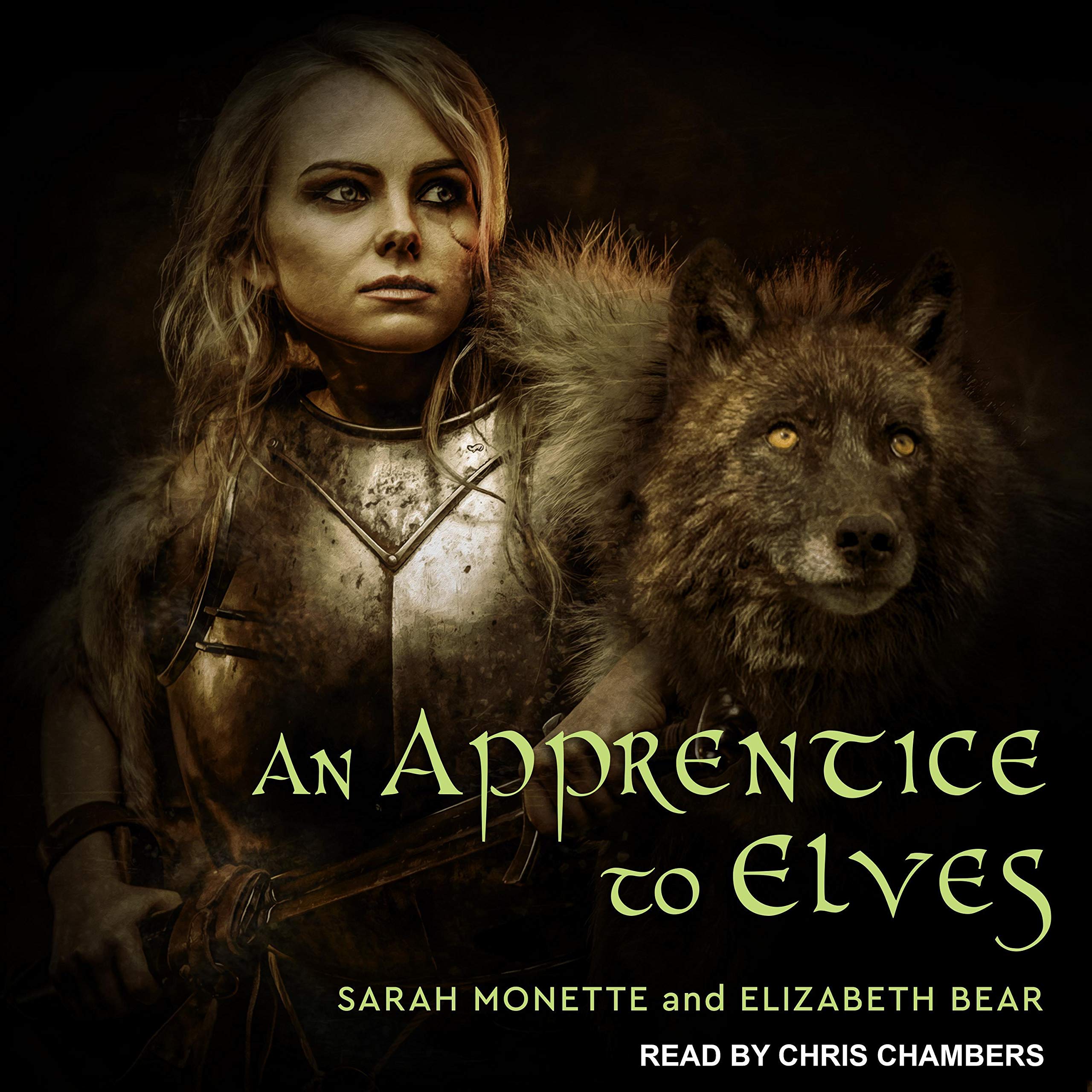 Cover art for An Apprentice to Elves