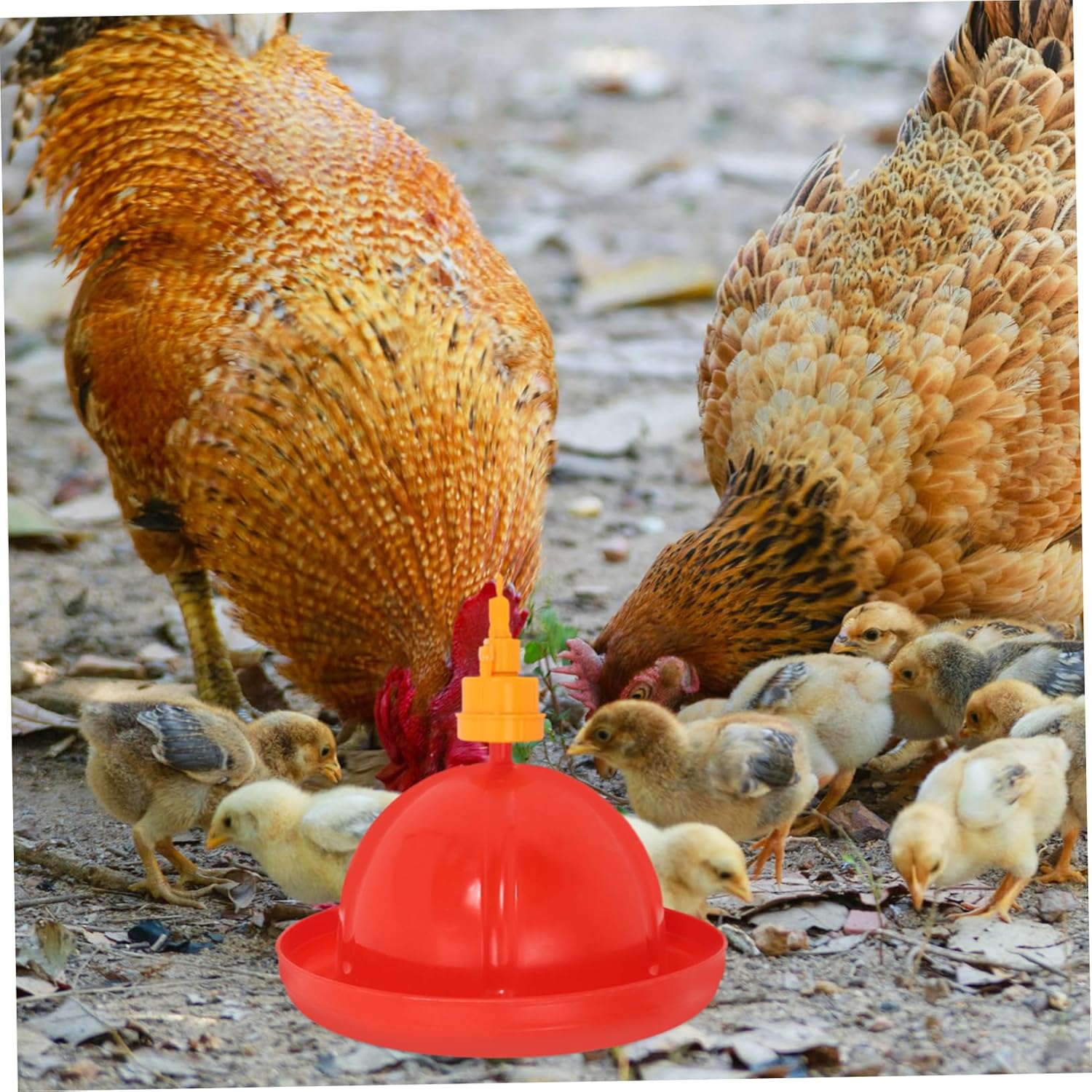 Automatic Chicken Waterer Floating Valve 1 Set Poultry Water Dispenser for Chickens Ducks and Geese Sturdy Hanging Drinkers Easy Refill System