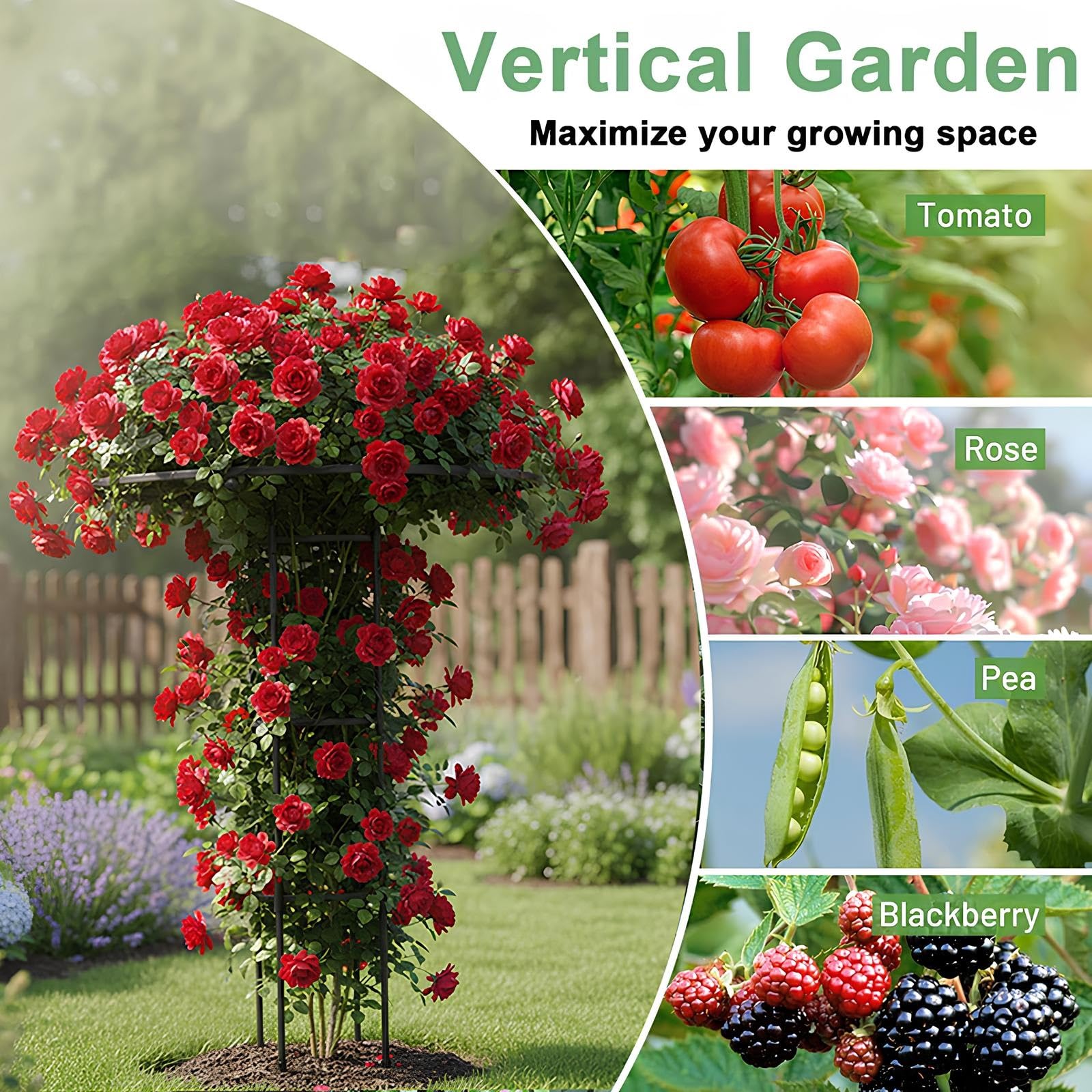 Obélisque De Jardin pour Plantes Grimpantes Exterieur 90-210cm, Support Tuteur Amovible pour Roses Clématites Et Tomates, Pot Et Parterre(White,120cm/47.2in)