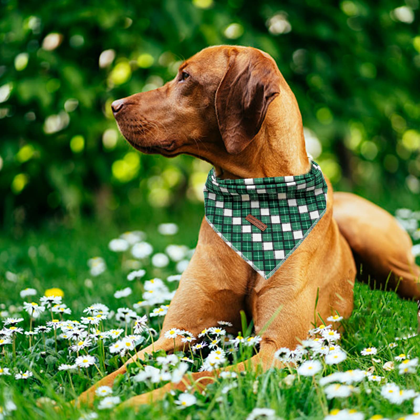 Hundehalstuch Mit Blumendruck – Waschbar, Verstellbar, Weiche Baumwolle, Für Mittelgroße & Große Hunde, 2 Größen