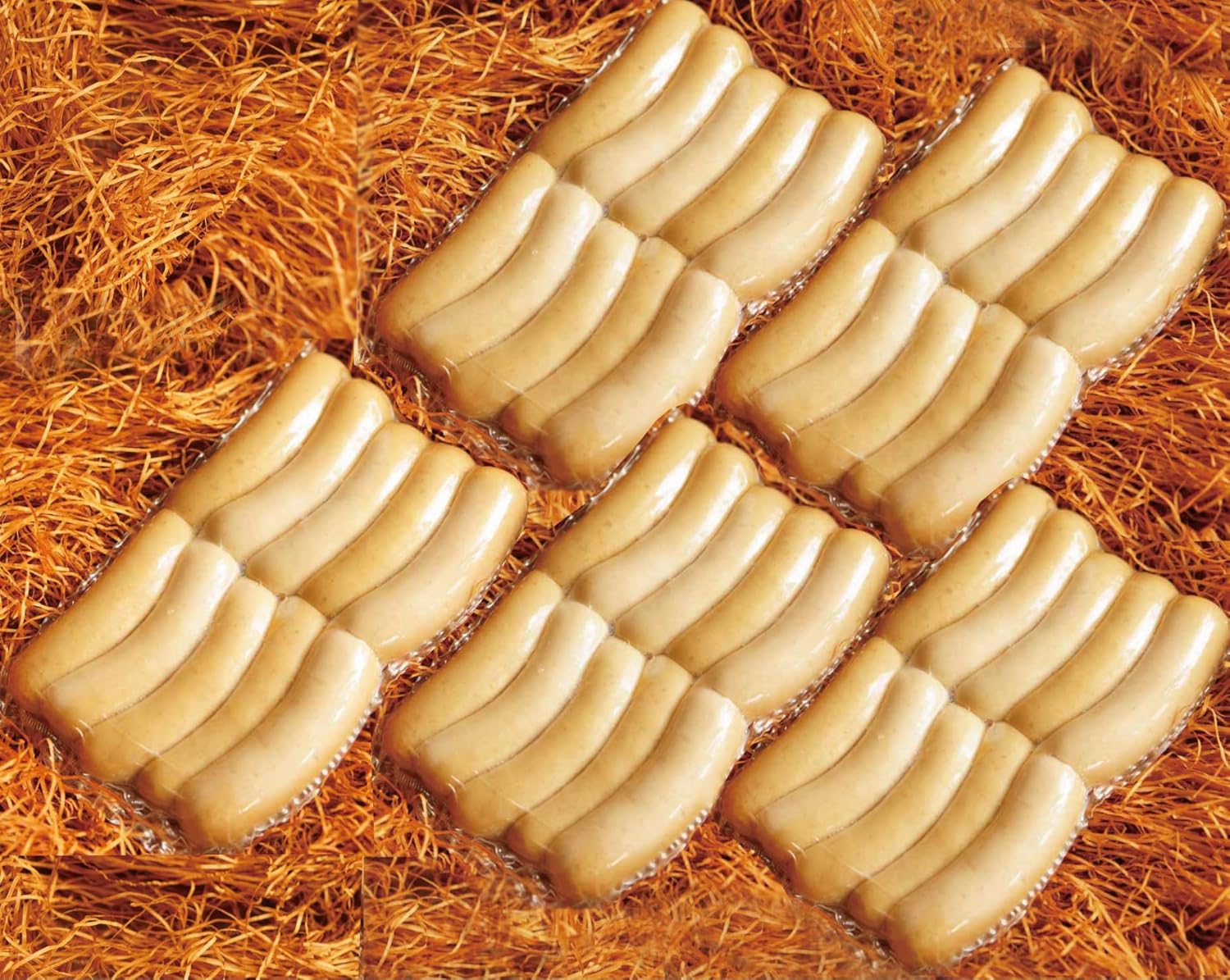 フランス ソシソンセック製造方法 専門書「LE SAUCISSON SEC