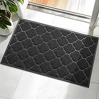 Vista 13 de Tapete para puerta al aire libre, 24 x 36 pulgadas, tapete de bienvenida para entrada, tapete para entrada del hogar, tapete de piso