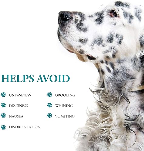 Miniatura 5 de Alivio antimareos y náuseas para perros de raza pequeña, alivio para la desorientación y mareos, 10 tabletas