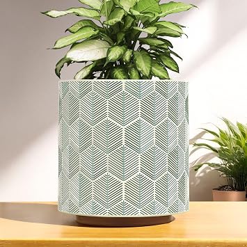 GUGUGO Plant Pots Hexagonal Pattern, Boho Modern Planters for Indoor Plants, Unique Decorative Flower Planter Pot with Drainage, Cute Small Succulent Pots, Eclectic Funky Gardening Pot Gifts, White