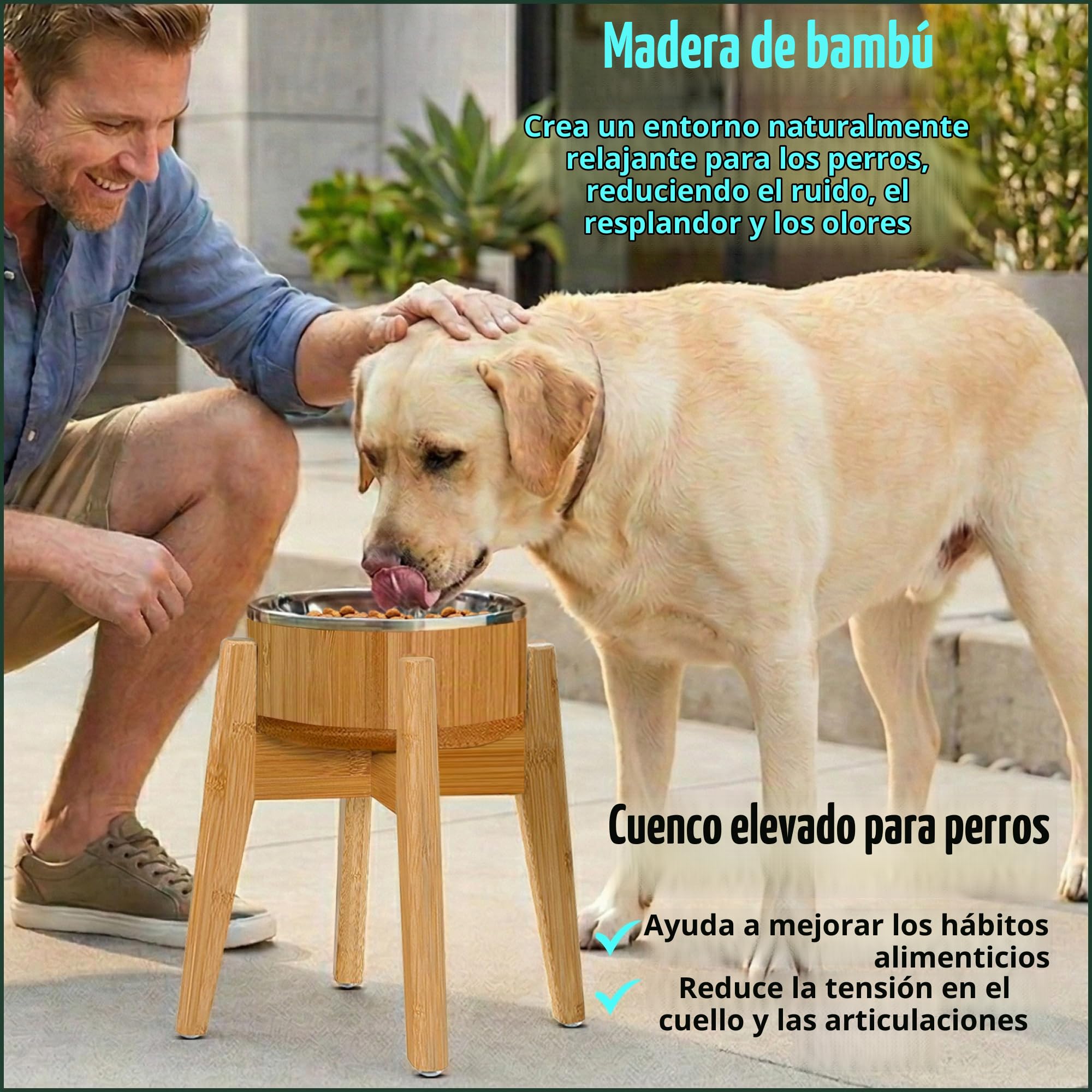 Cuenco Elevado de bambú para Perros Grandes, Juego de Plato, Forro y Soporte de Acero Inoxidable, estación de alimentación Individual elevada para Mascotas, sin vuelcos