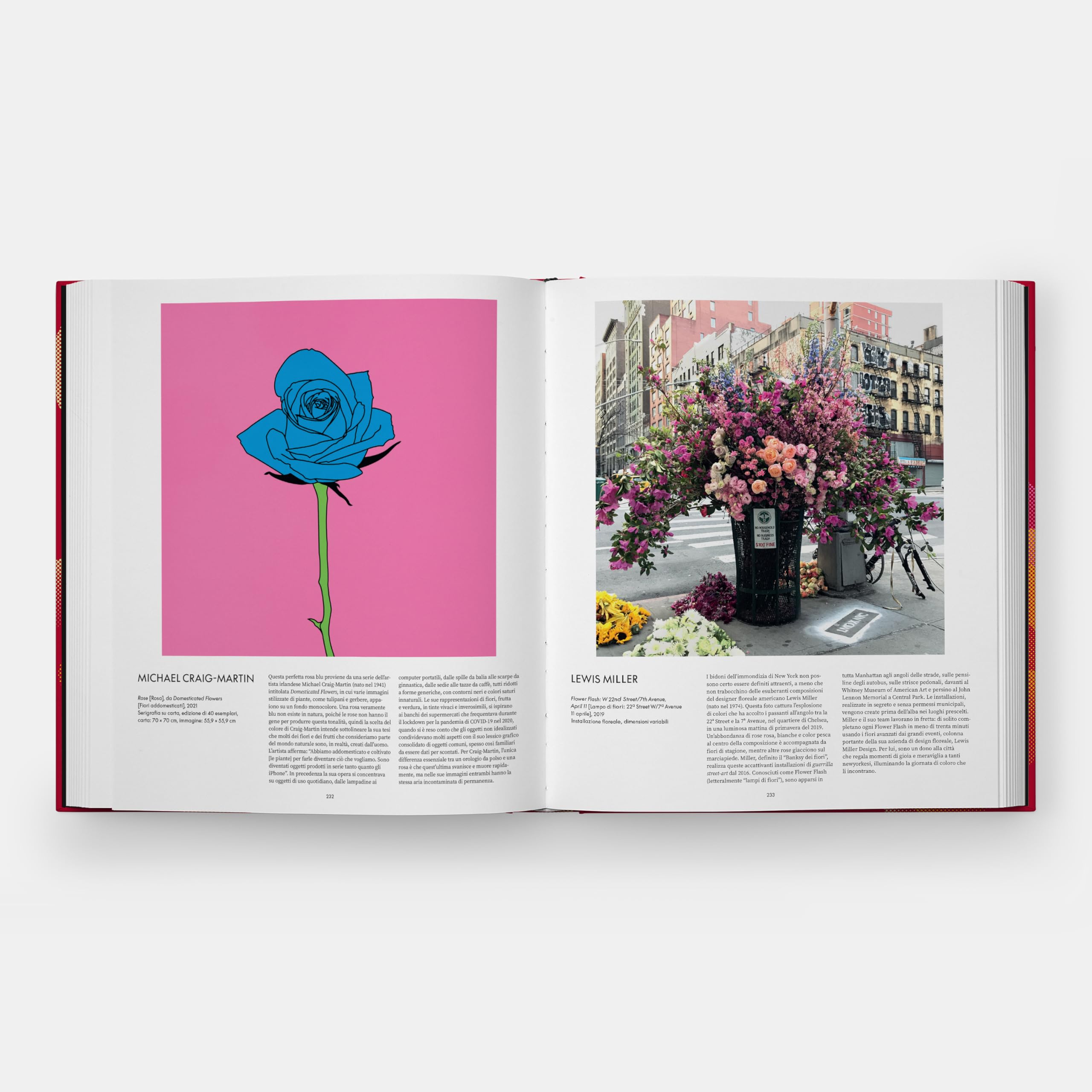 Il mondo delle rose