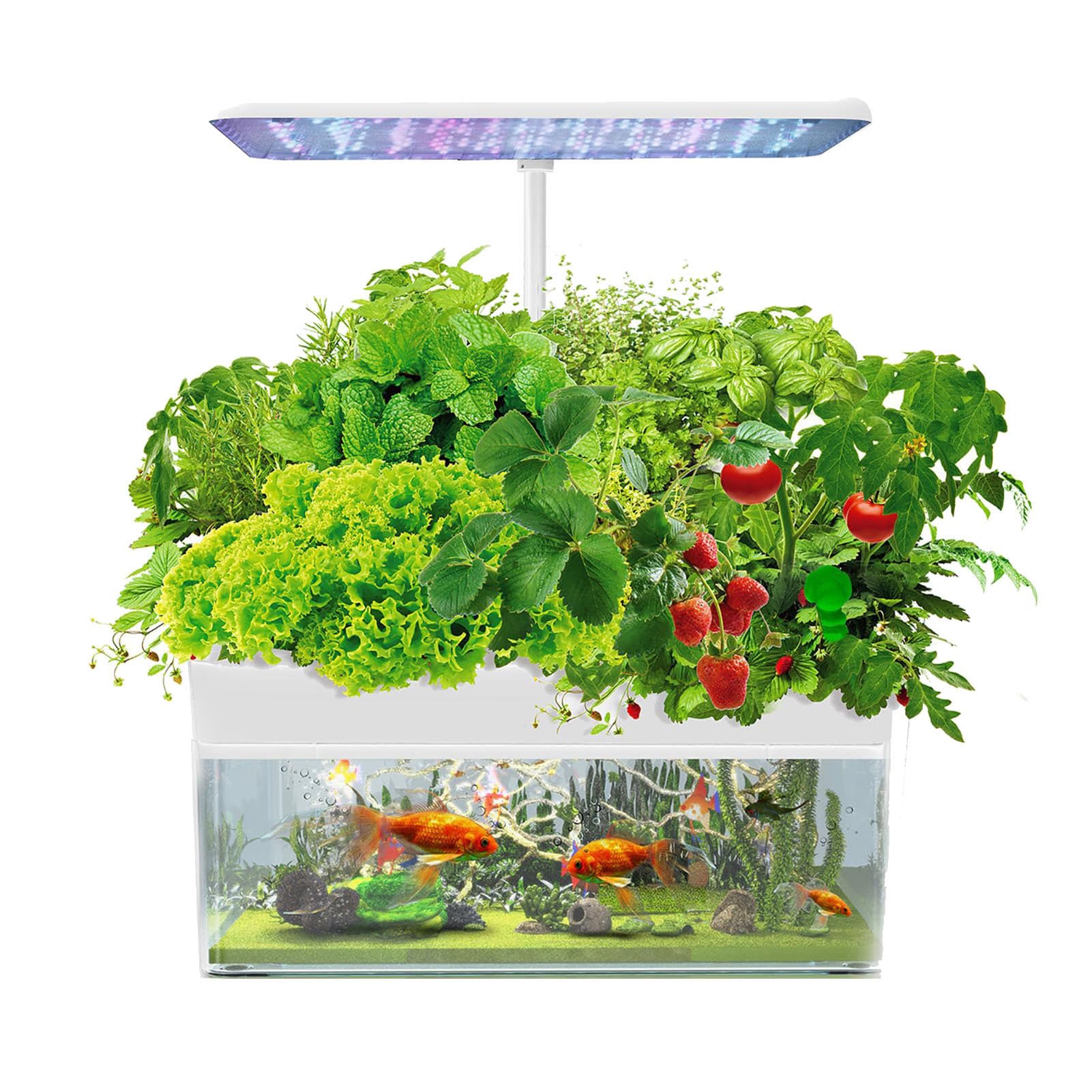Sistema di Coltivazione idroponica, 12 baccelli per Giardino di Erbe aromatiche al Coperto con Luce di Coltivazione a LED, con Acquario acquaponico, per Cucina Domestica