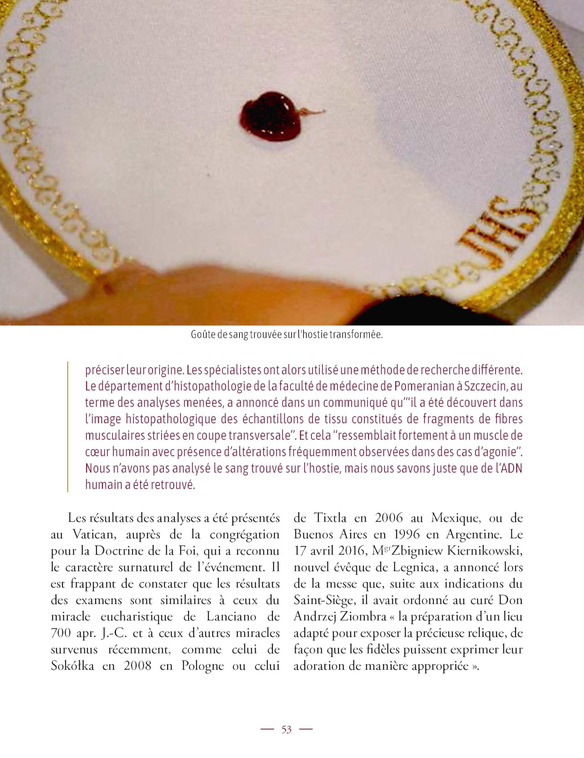 Les miracles eucharistiques dans le monde: L'exposition internationale imaginée et réalisée par Carlo Acutis