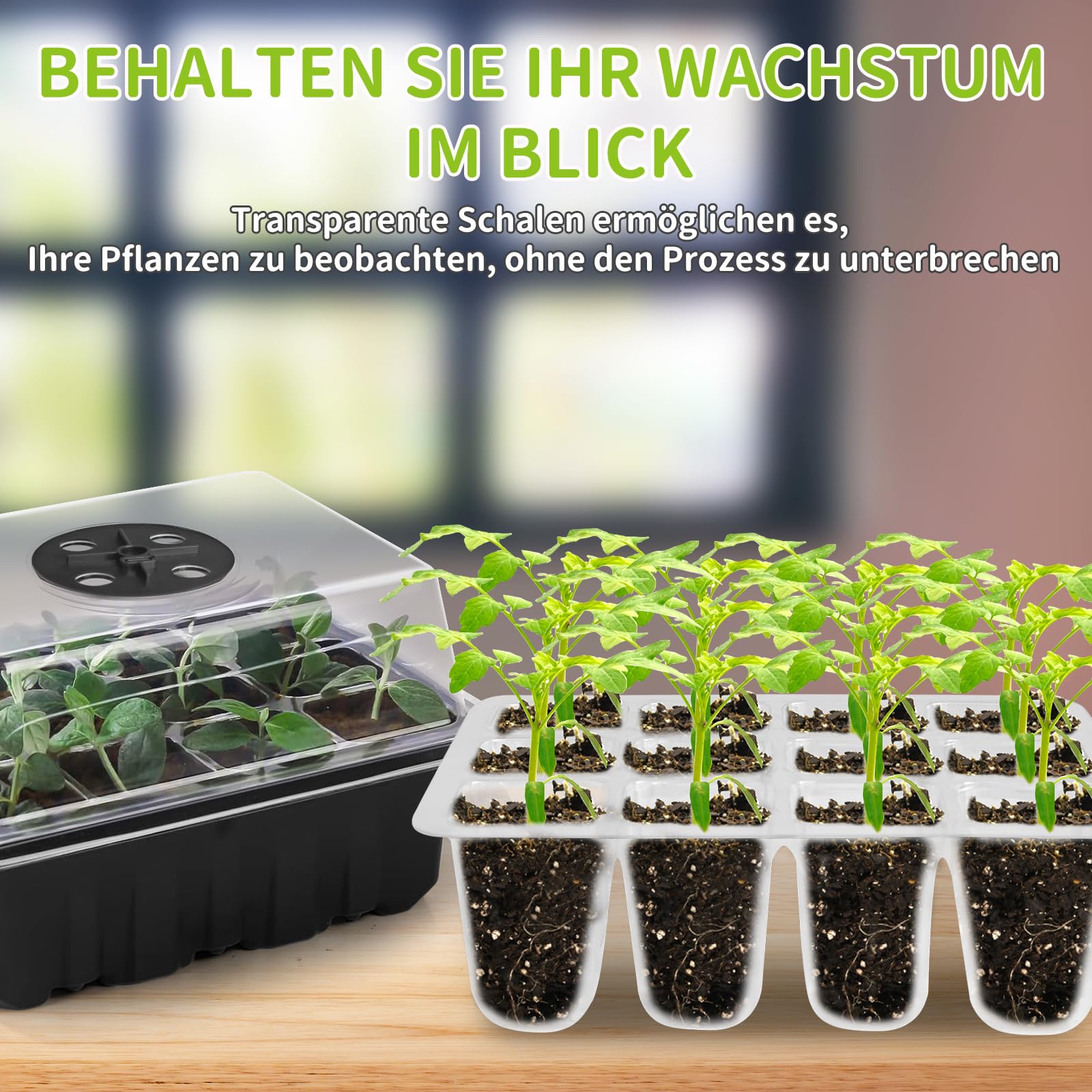 NAMOTEK Station de Germination 5 pièces avec Tapis Chauffant & Lampe de Croissance – 60 cellules, Mini-Serre