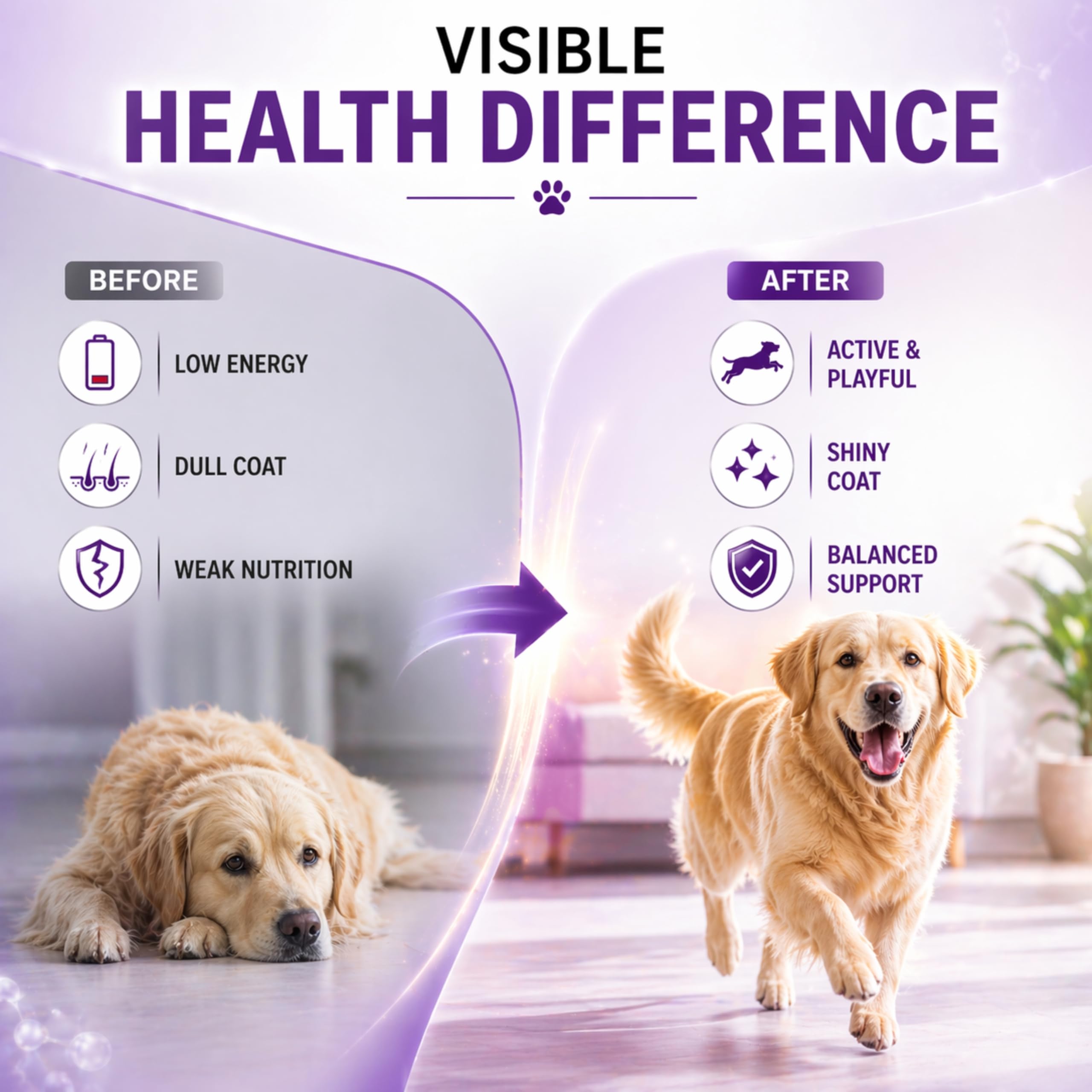 Logivit Multivitamin Syrup for Dogs & Cats | Daily Health Tonic for Immunity, Energy & Growth | Supports Skin & Coat | Vitamin, Mineral & Amino Acid Supplement - 225ml — Amazon image 4