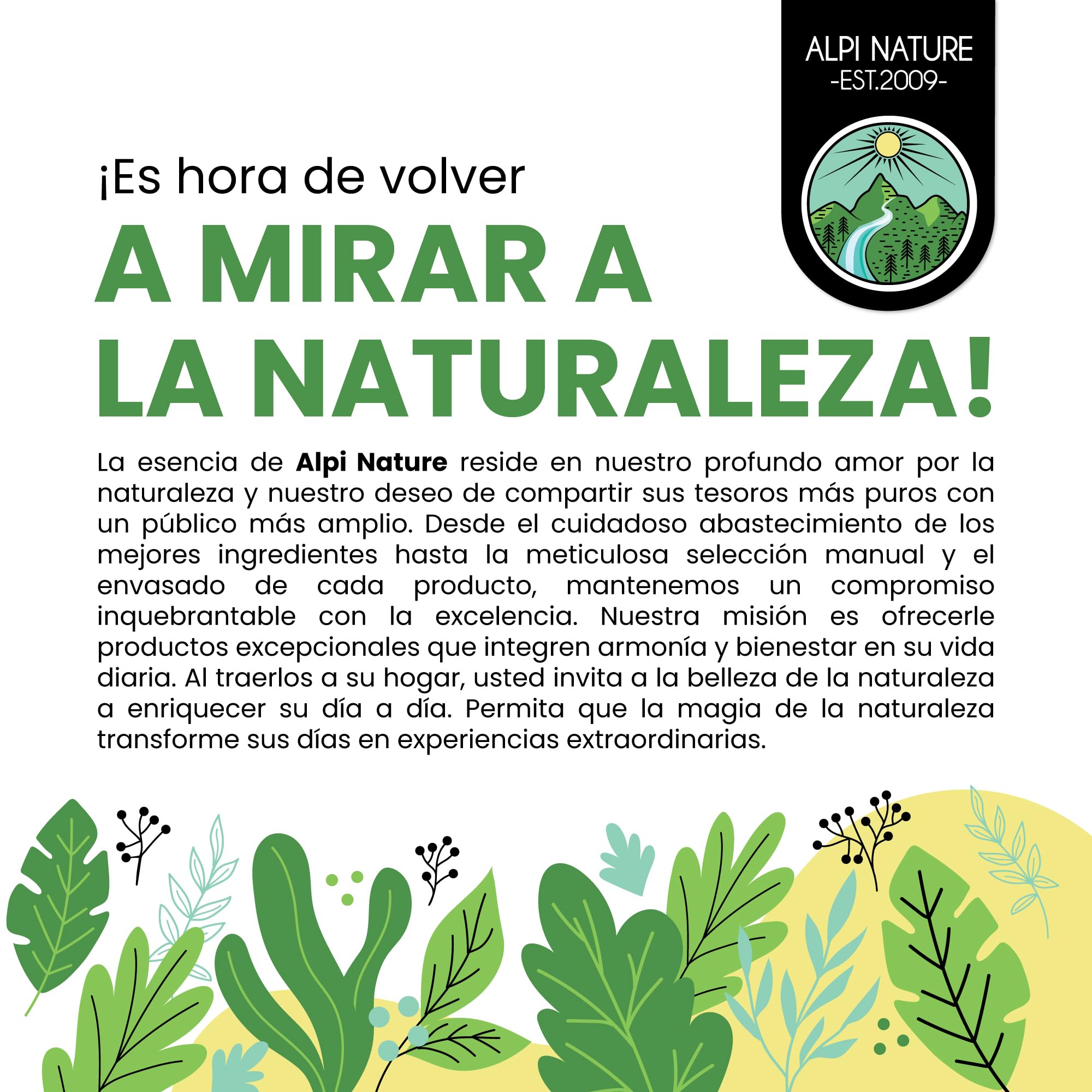Alpi Nature Canela de Ceilán en Polvo 250g, Palitos de Canela de Ceilán Molidos en Polvo