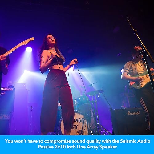 Miniatura 6 de Seismic Audio SALA-210 Altavoz pasivo de matriz de 2 x 10 líneas con controladores de compresión duales, banda de PADJ, sonido en vivo