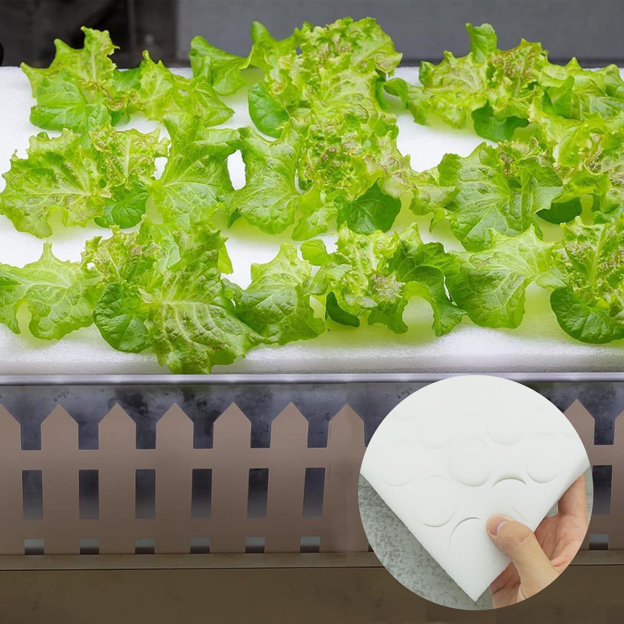 ZAHD 100 PCS Soilless Hydroponics Esponja hidropónica para Plantar Herramientas de Esponja de Vivero de Semillas Suministros esponjas de Cubo de plántula esponjas hidropónicas sin Suelo (100, Blanco)