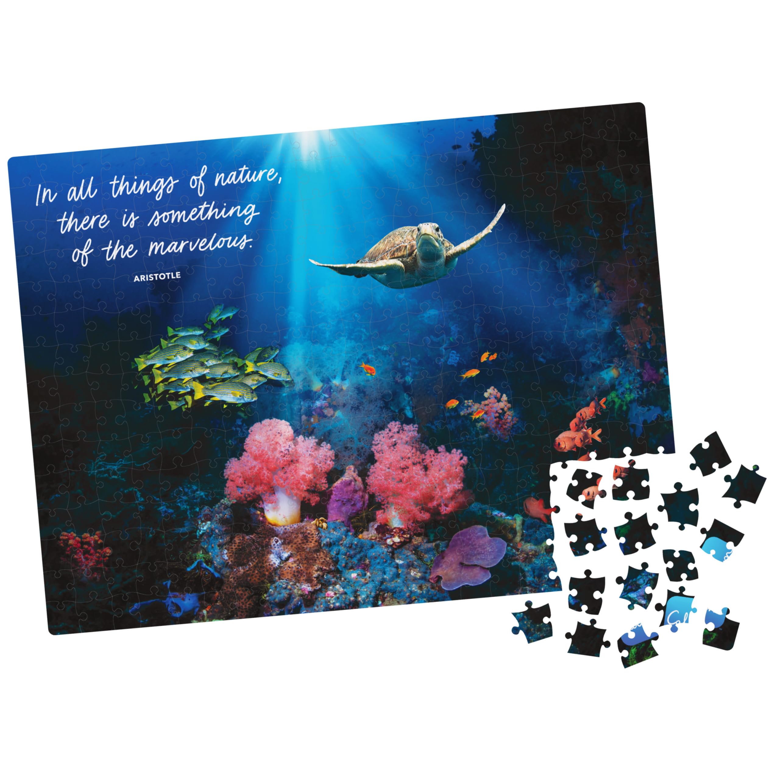 Amazon.com: 300-Piece Calm Jigsaw Puzzle for Relaxation, Stress