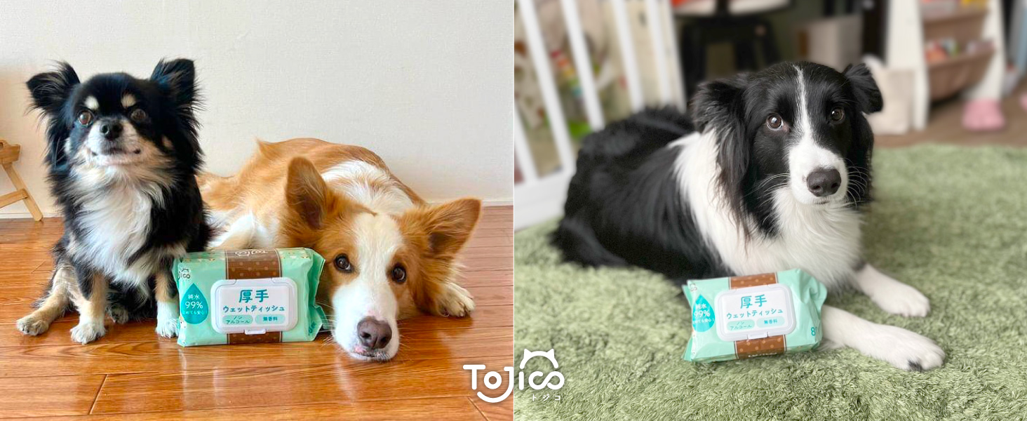 Amazon | トジコ ペット ウェットティッシュ 厚手 大判