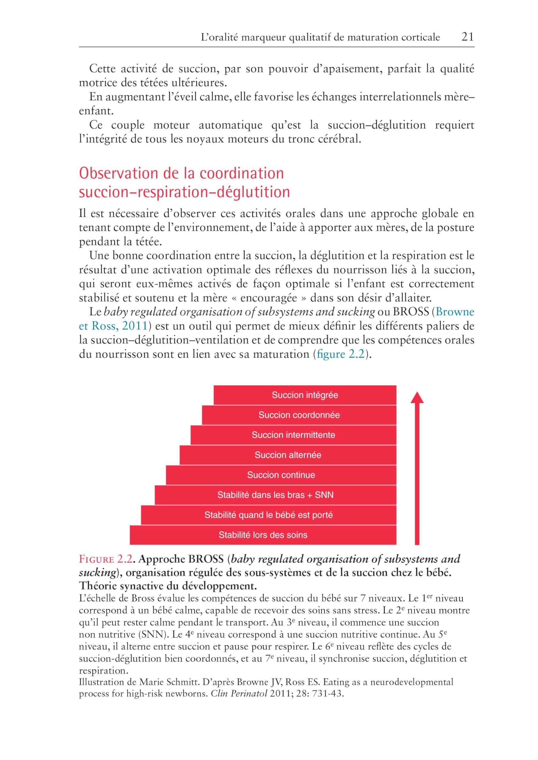 Orthophonie et oralité: La sphère orofaciale de l'enfant