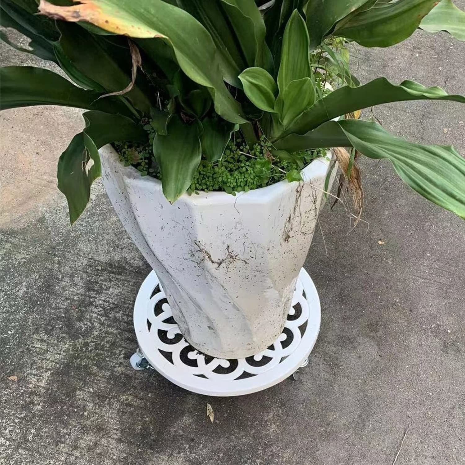 Amazon.co.jp: 植木鉢台 移動花台 防水鋳造アルミ 安定している花台