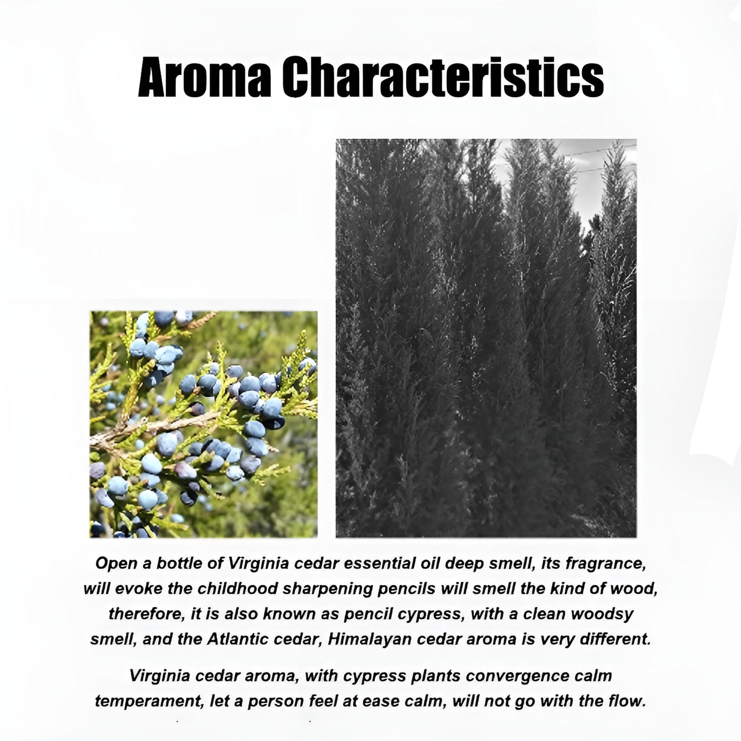 100% czysty olejek eteryczny sosnowy do aromaterapii, pielęgnacji włosów na skórze, produkcji mydła w świecach, organiczny olejek sosnowy, olejek sosnowy, olejek zapachowy do łagodzenia stresu, 500 ml