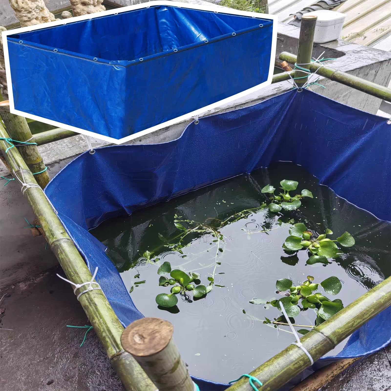 Piscine pour carpes koï pliable Luyckfrazy et bassin de jardin 6m