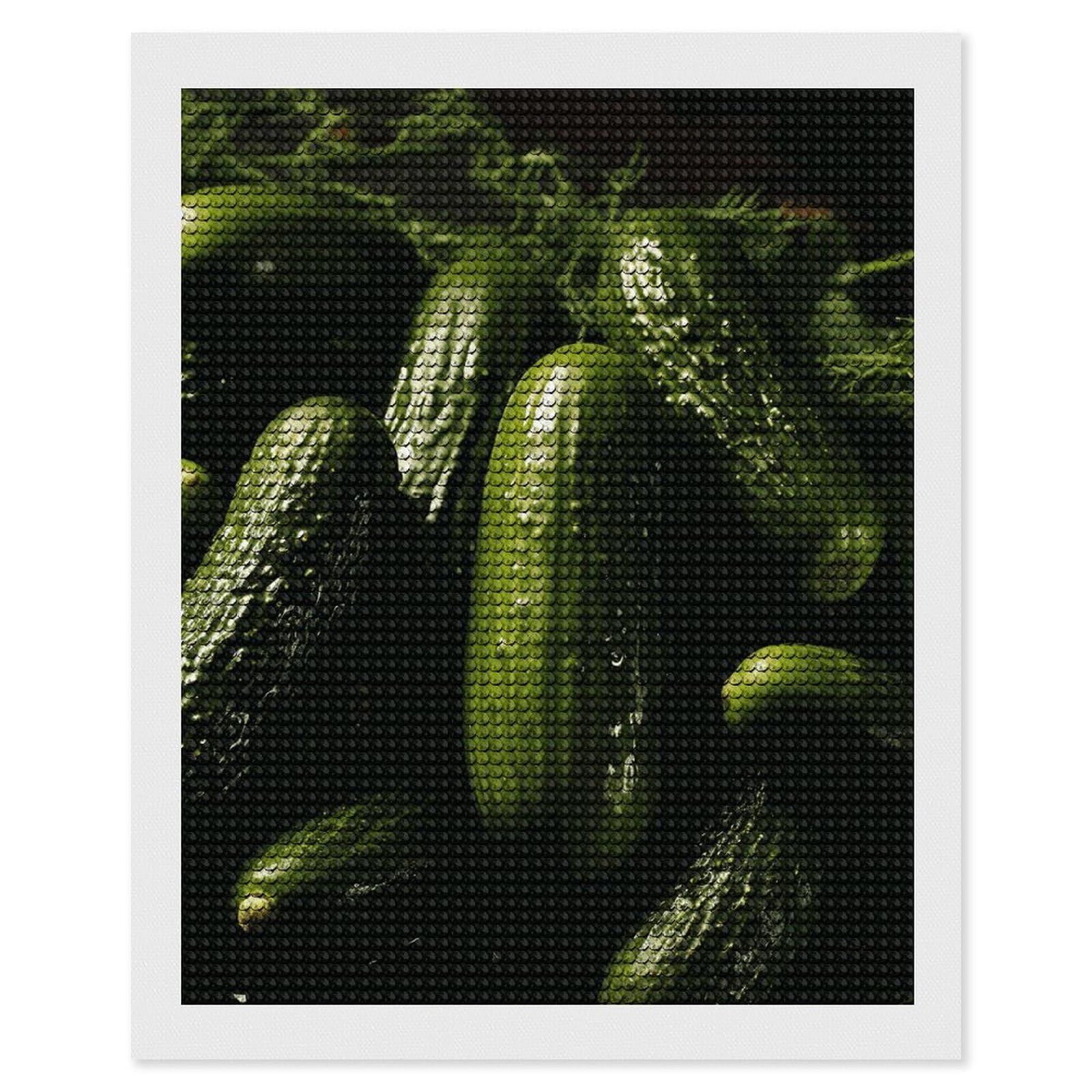 DWVTSLH Pickle Diamond Painting Kits for Adults, Personalized Diamond Photo Art Full Drill, DIY 5D Diamond Art Painting Kits for Beginners, Home Wall Decor 16"x20"