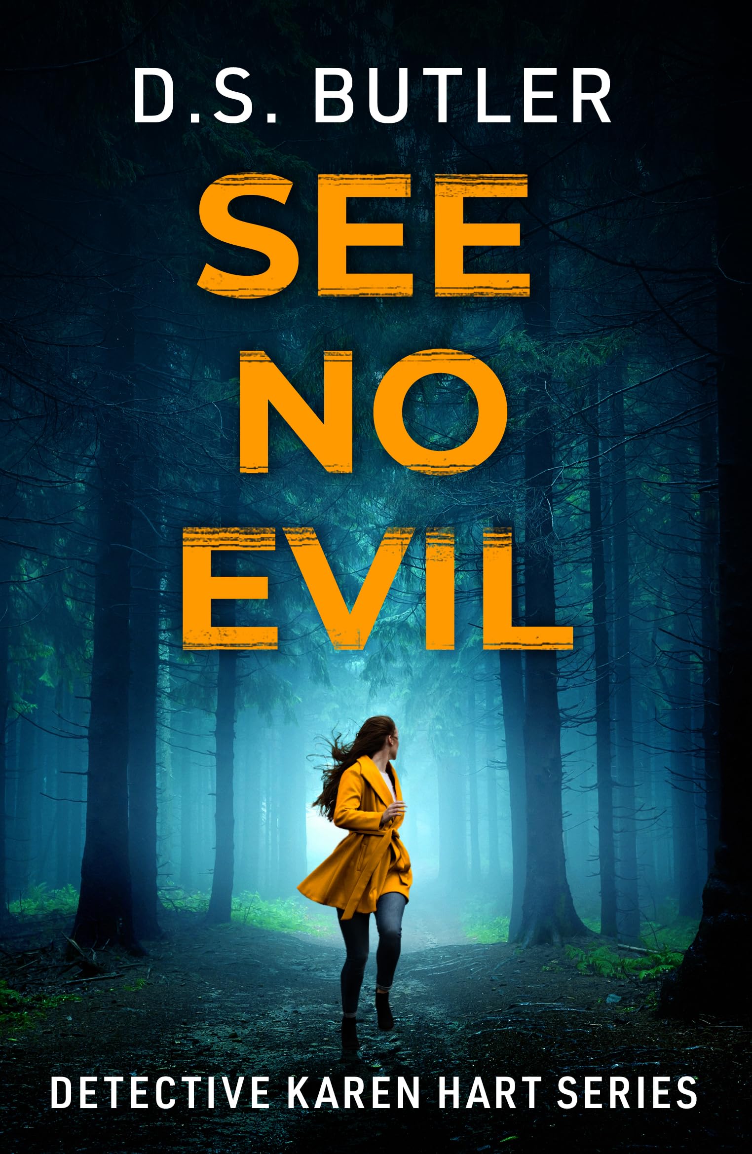 See No Evil (Detective Karen Hart Book 11)