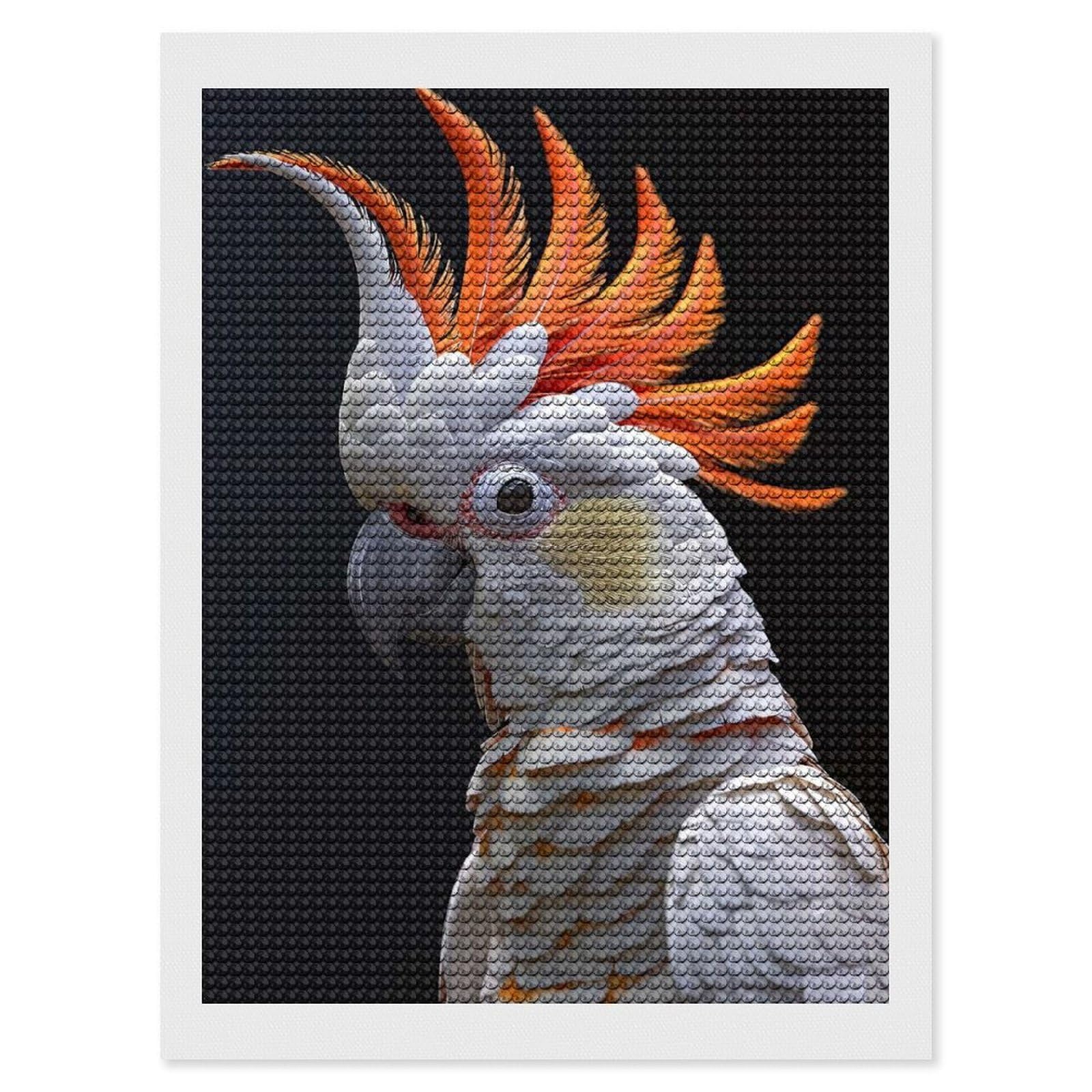 Junmoney Cockatoo DIY Diamond Art Canvas Kit 12"x16", Adhesive Canvas, Easy to Enjoy, Farmhouse Decor, Festive Craft Gift