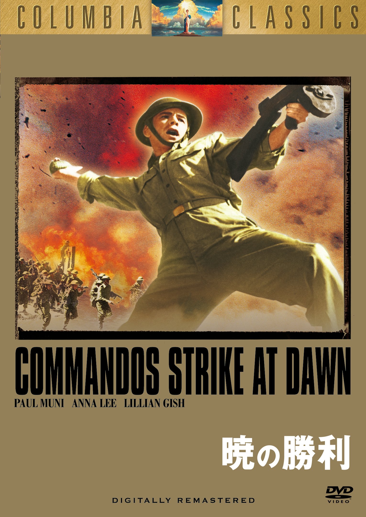 【激レア1点のみ】空軍力の勝利(1943年)ディズニー作品 DVD 激レア1点のみ】空軍力の勝利(1943年)ディズニー作品 DVD - メルカリ