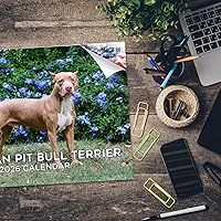 Vista 1501 de Razas de Perros 2017