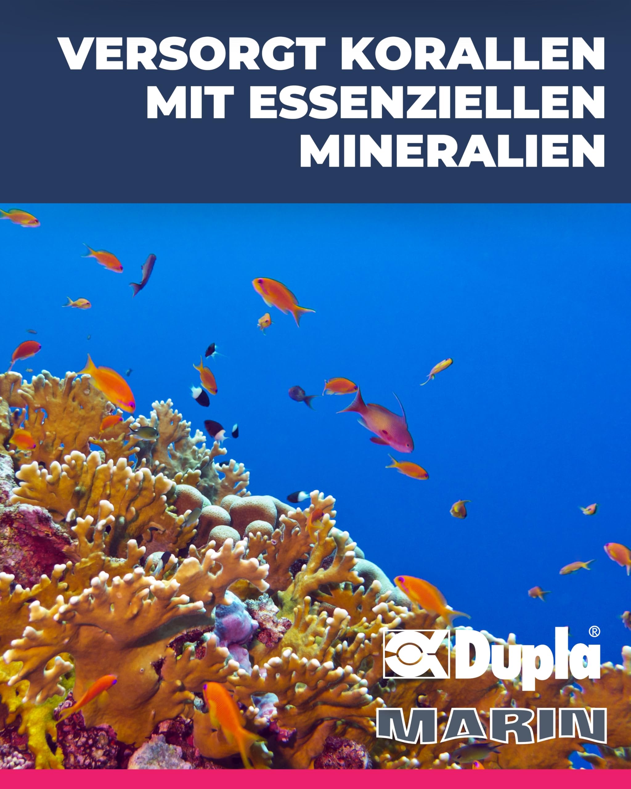 Dupla Marin Basic Ocean Sea Salt I 20 kg I Meersalz für Tropische Riffaquarien I Aquariensalz für leichte Korallenpflege I hohe Löslichkeit I Salz für Meerwasseraquarien I chelat- und nitratfrei