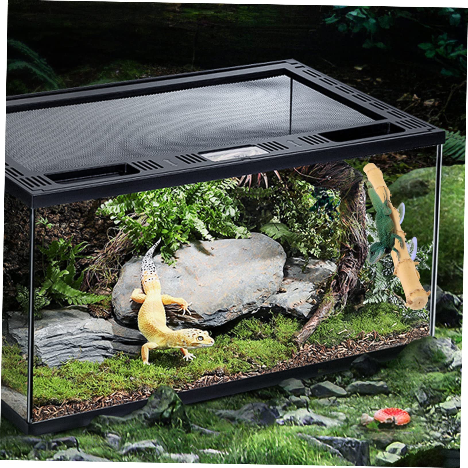 Mipcase 4piezas Soporte Decorativo para Terrarios De Dragón Barbudo Juguete De Escalada De Madera Ventosa para Reptiles Accesorio para Crear Un Saludable y Divertido