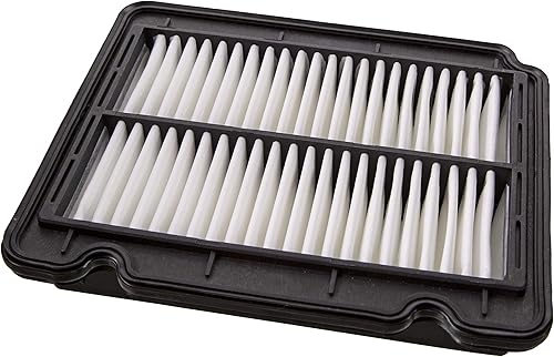 Champion Filtro de aire del motor CAP9902