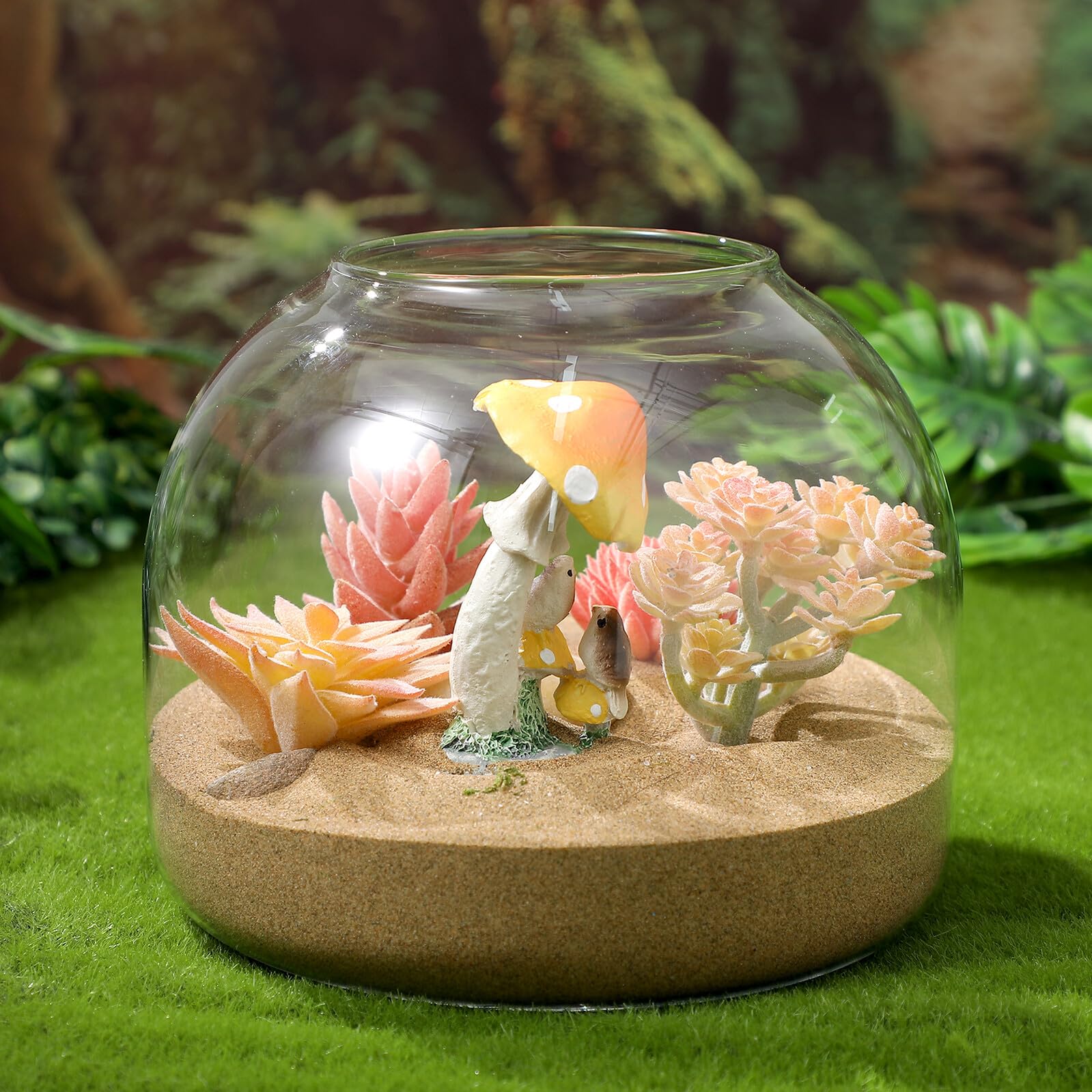 Terrario in Vetro con Coperchio in Sughero, Micro Terrario Paesaggistico per Piante e Muschio, Barattolo Decorativo per Ufficio e Interni, Vaso per Piante Fai-da-te