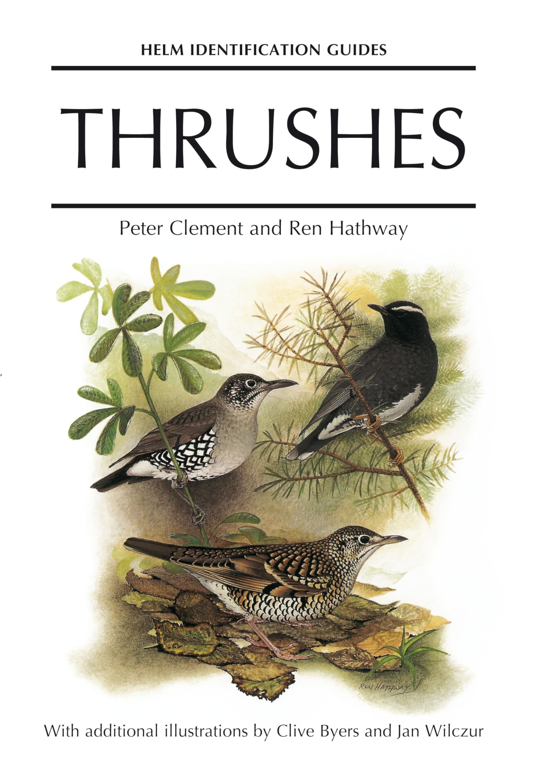 Buy Thrushes — BookShops.in