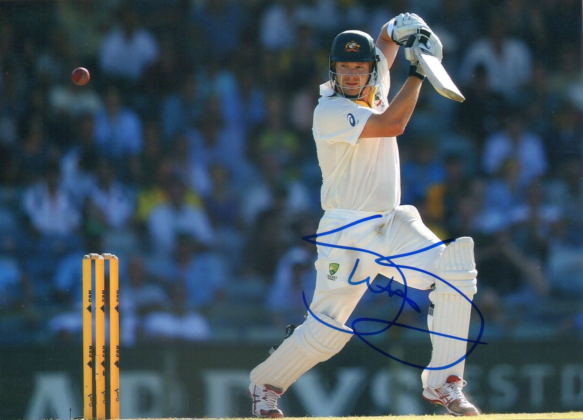 5x7 Inches Original Autographed Photo of Australian Crickter Shane Watson-image-45