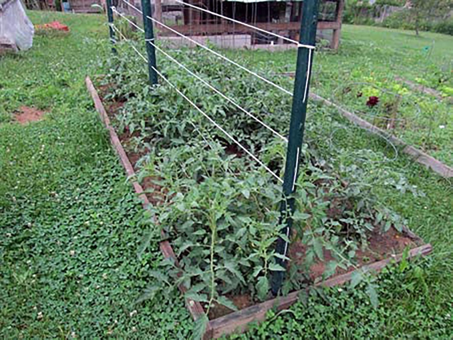 IRRIGATION-MART 6300FT Tomato Tying Garden Twine Standard