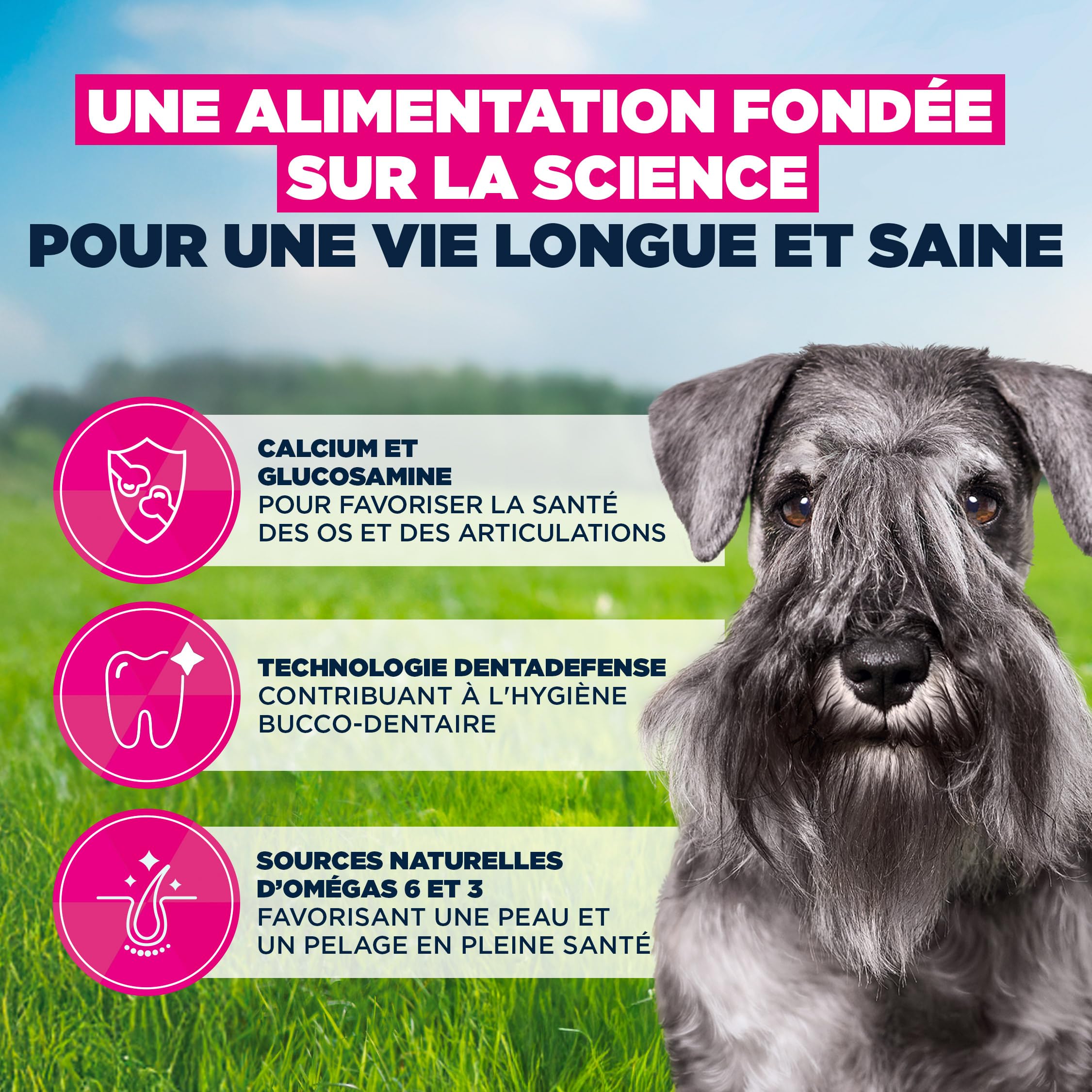 EUKANUBA Life Care Chien Mature Petite Race Poulet 7,5 kg