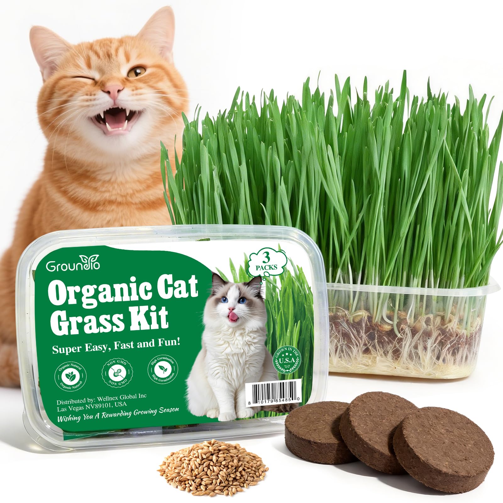Groundio Cat Grass Kit