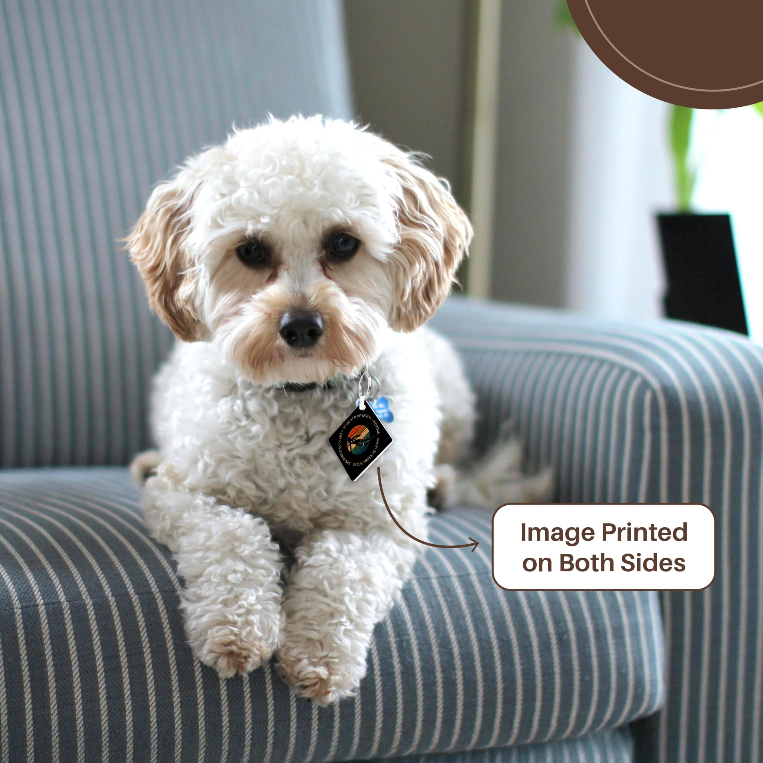 3dRose, San Francisco Peaks, Arizona. Woman skier. Yellow, black. Skiing, set of 4 Key Chains