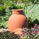 Olla Clay Vessel, Plant Watering Device, Terracotta Vacation Plant Waterer, Self Watering Device for Outdoor Plants 5L - 4