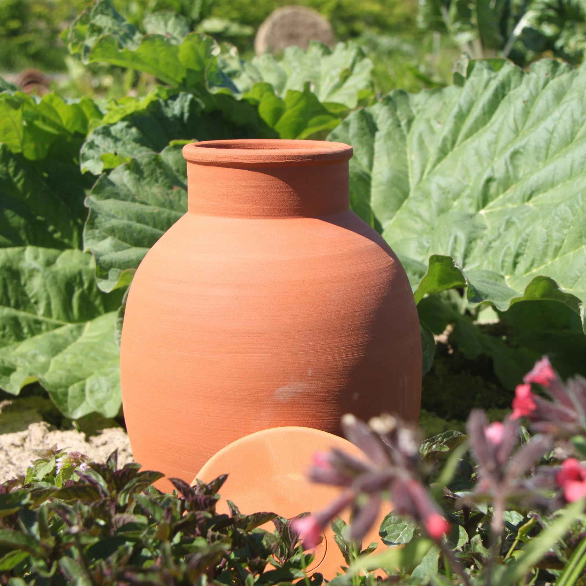 Ollas Lutton Olla Terre Cuite à Enterrer 8L | Arrosage Autonome pour